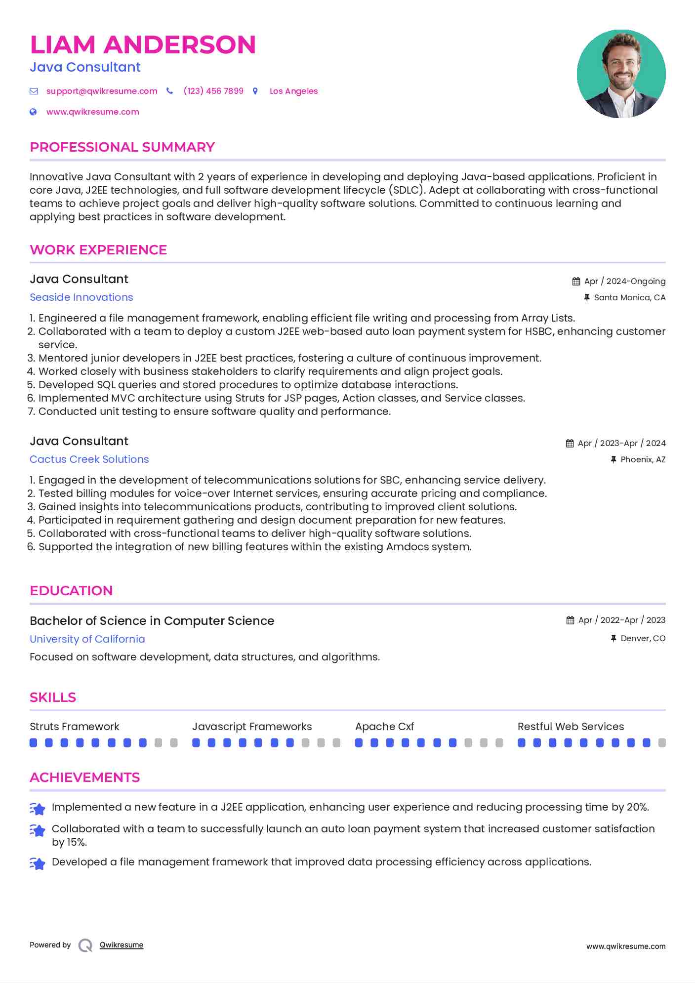 Java Consultant Resume Format