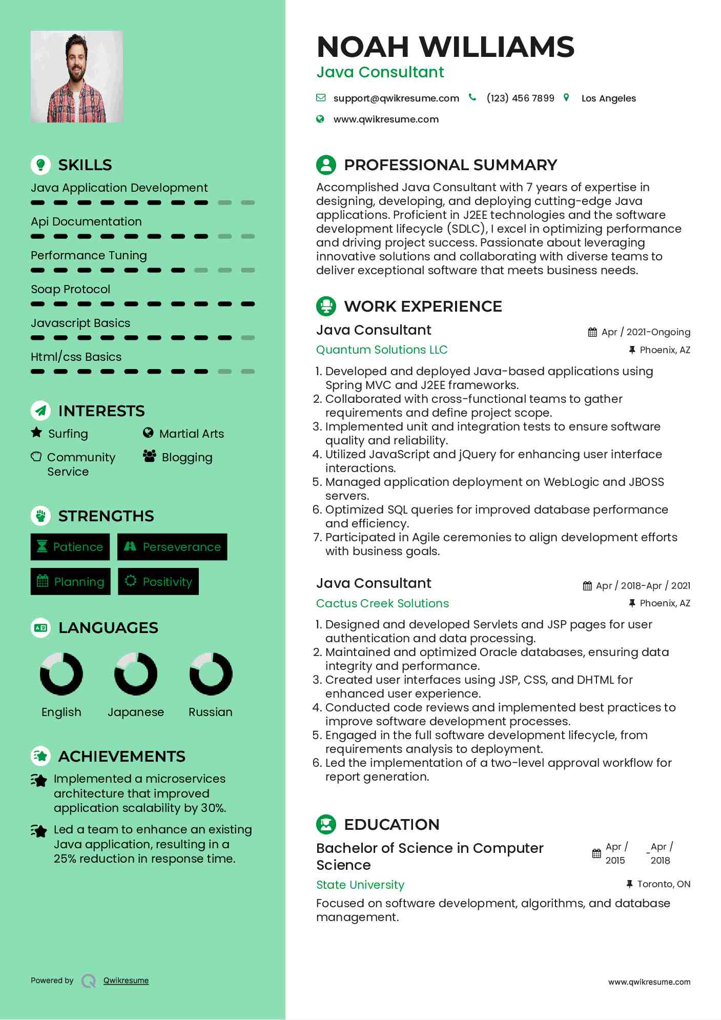 Java Consultant Resume Example