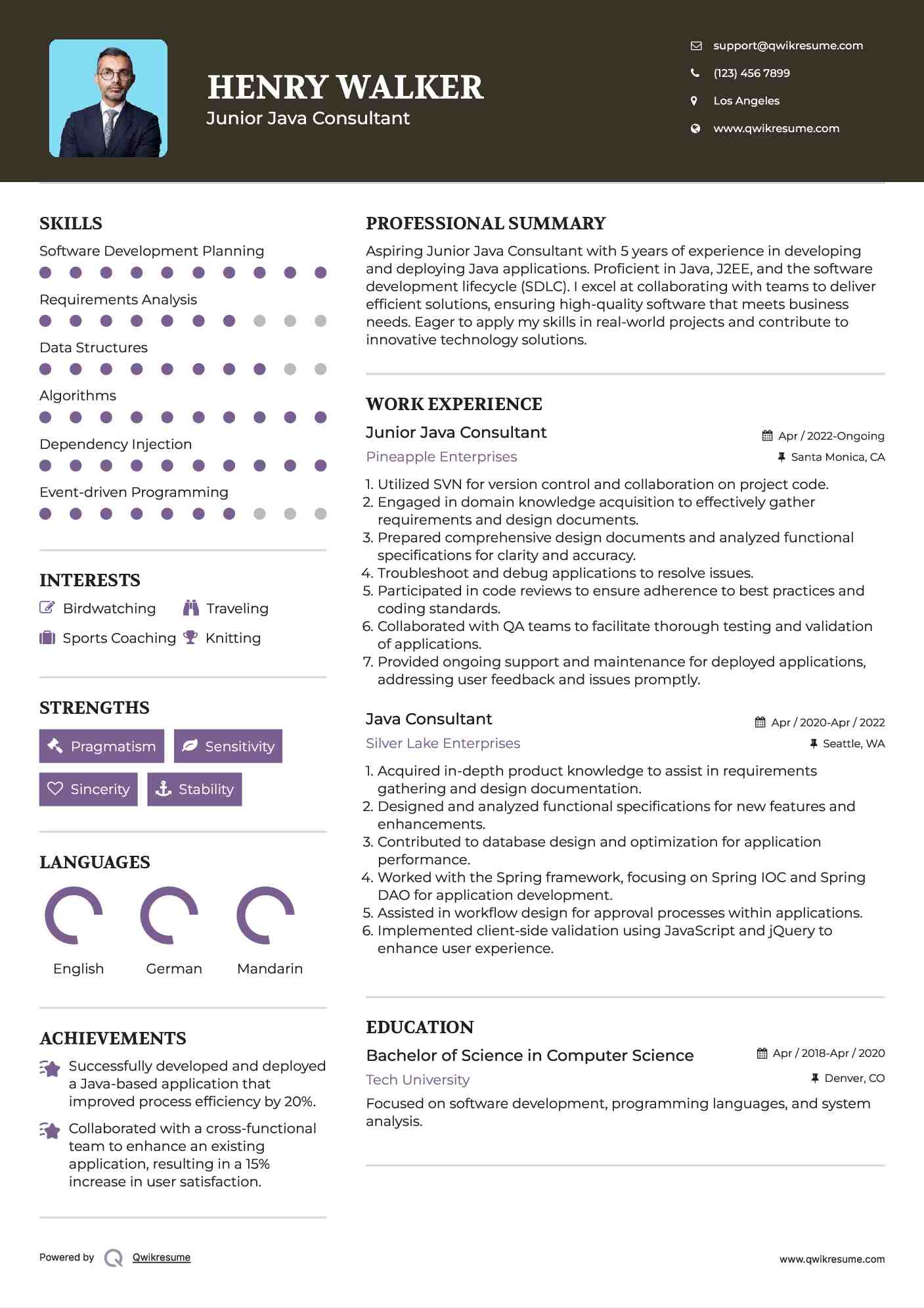 Junior Java Consultant Resume Format