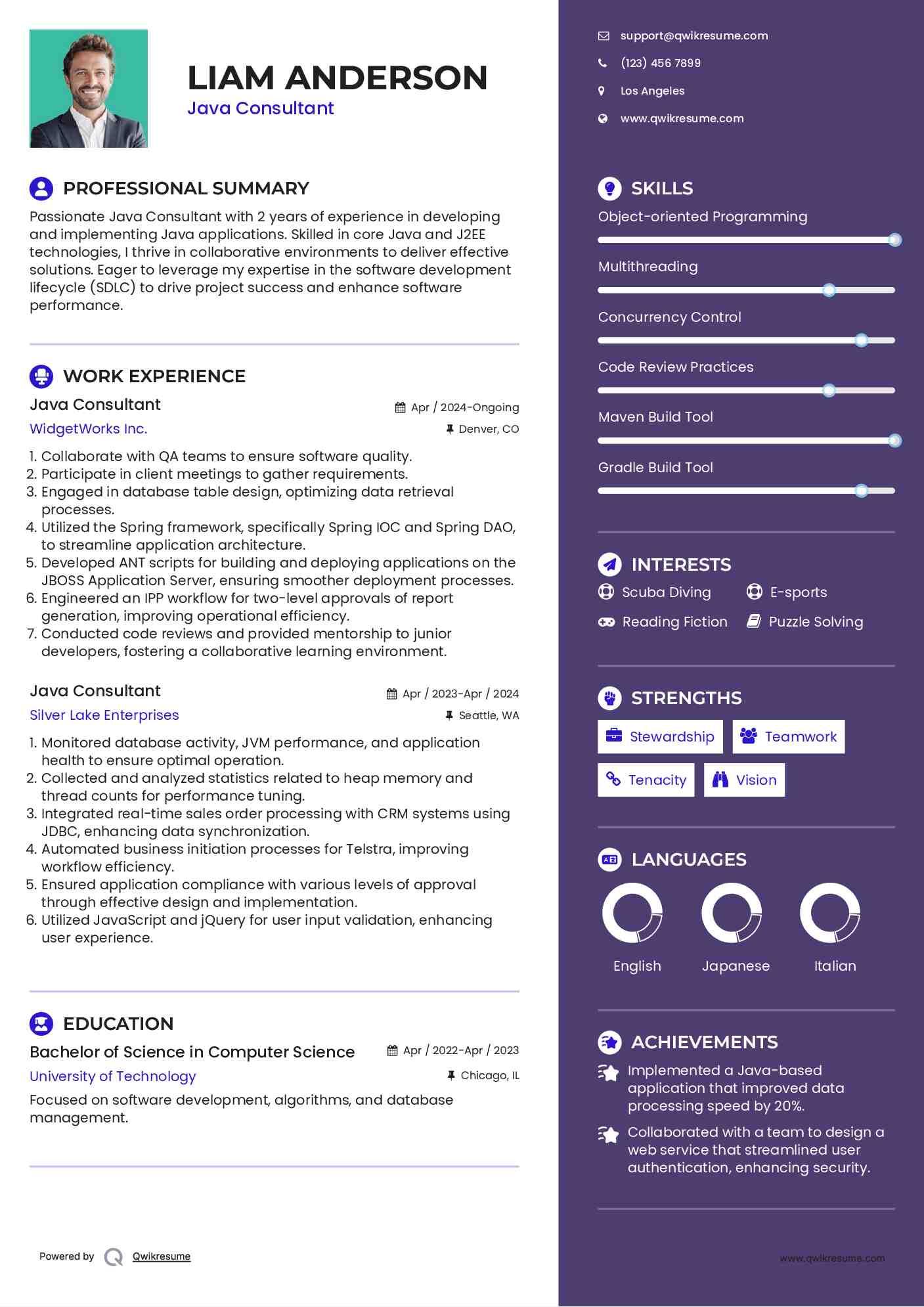 Java Consultant Resume Template