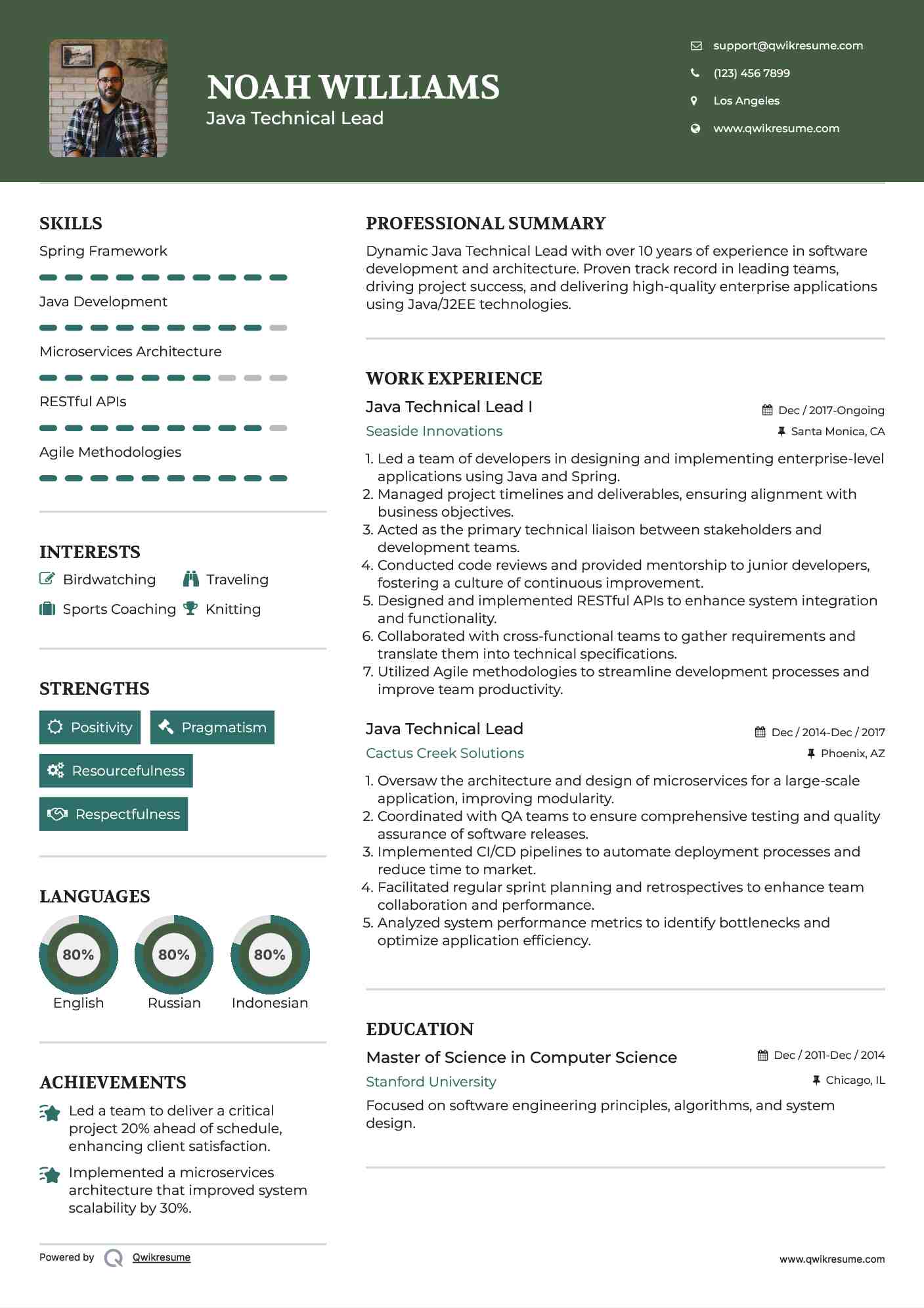 Java Technical Lead I Resume Model