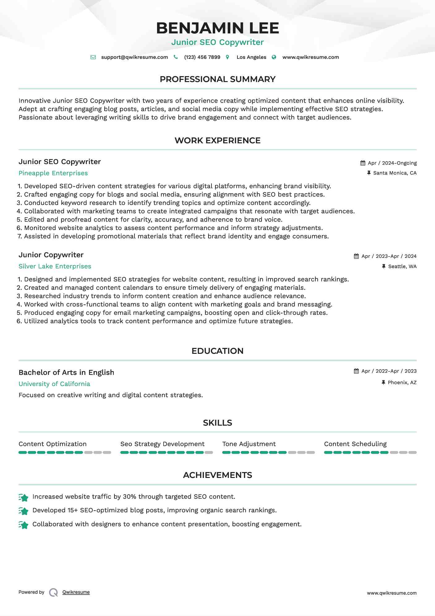 Junior SEO Copywriter Resume Model