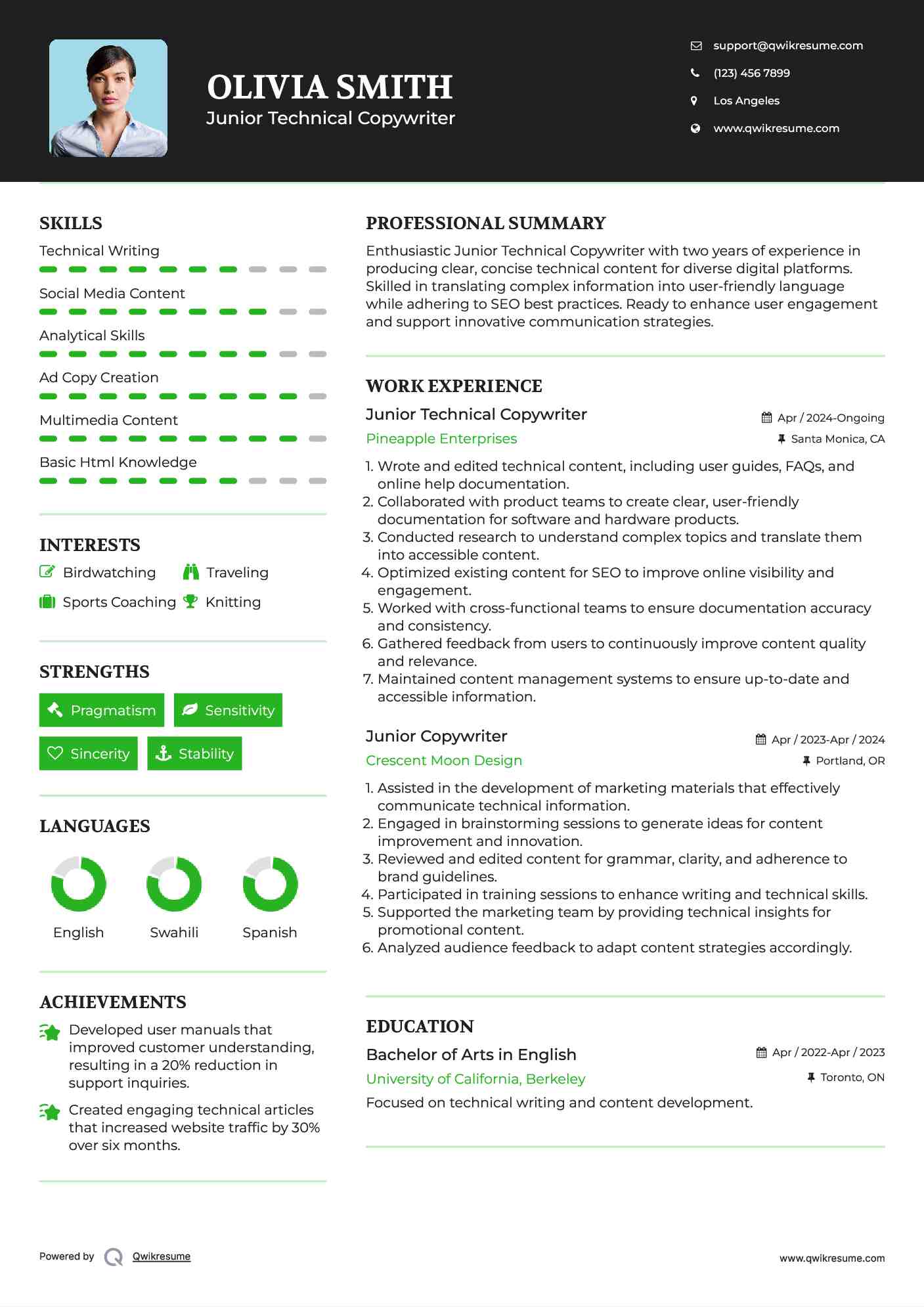 Junior Technical Copywriter Resume Sample