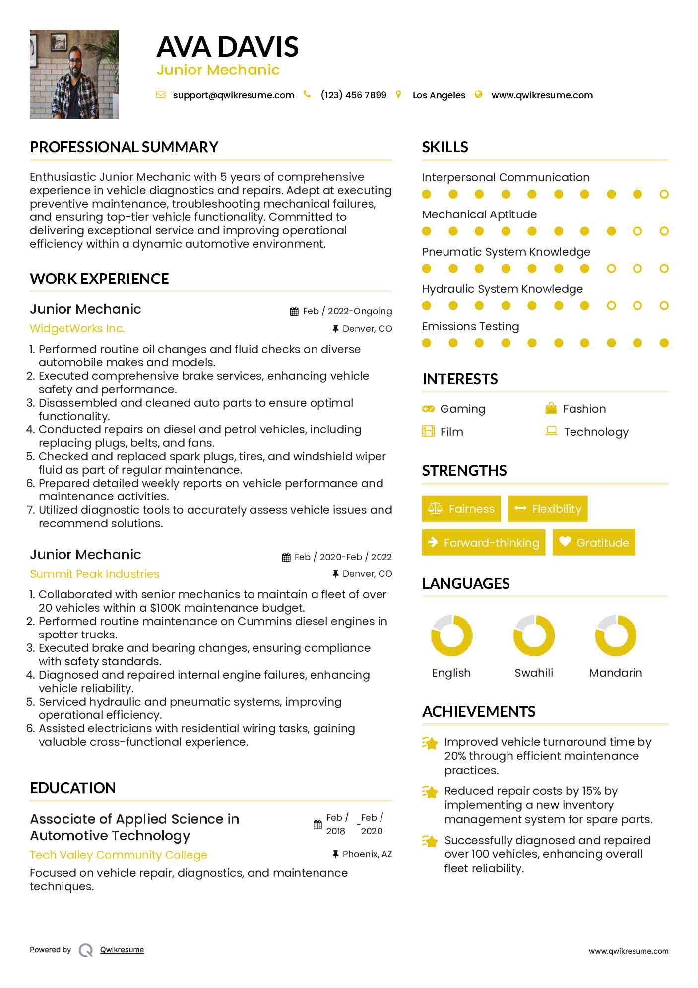 Junior Mechanic Resume Sample