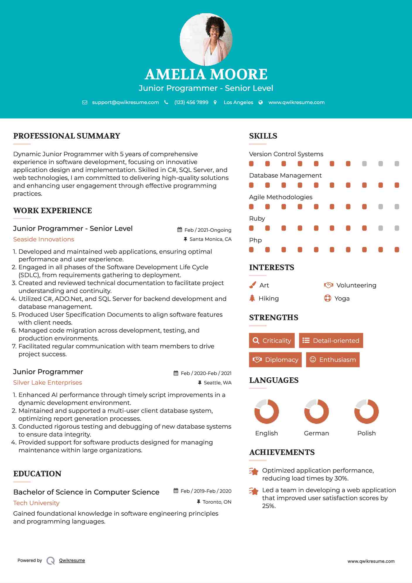 Junior Programmer - Senior Level Resume Example