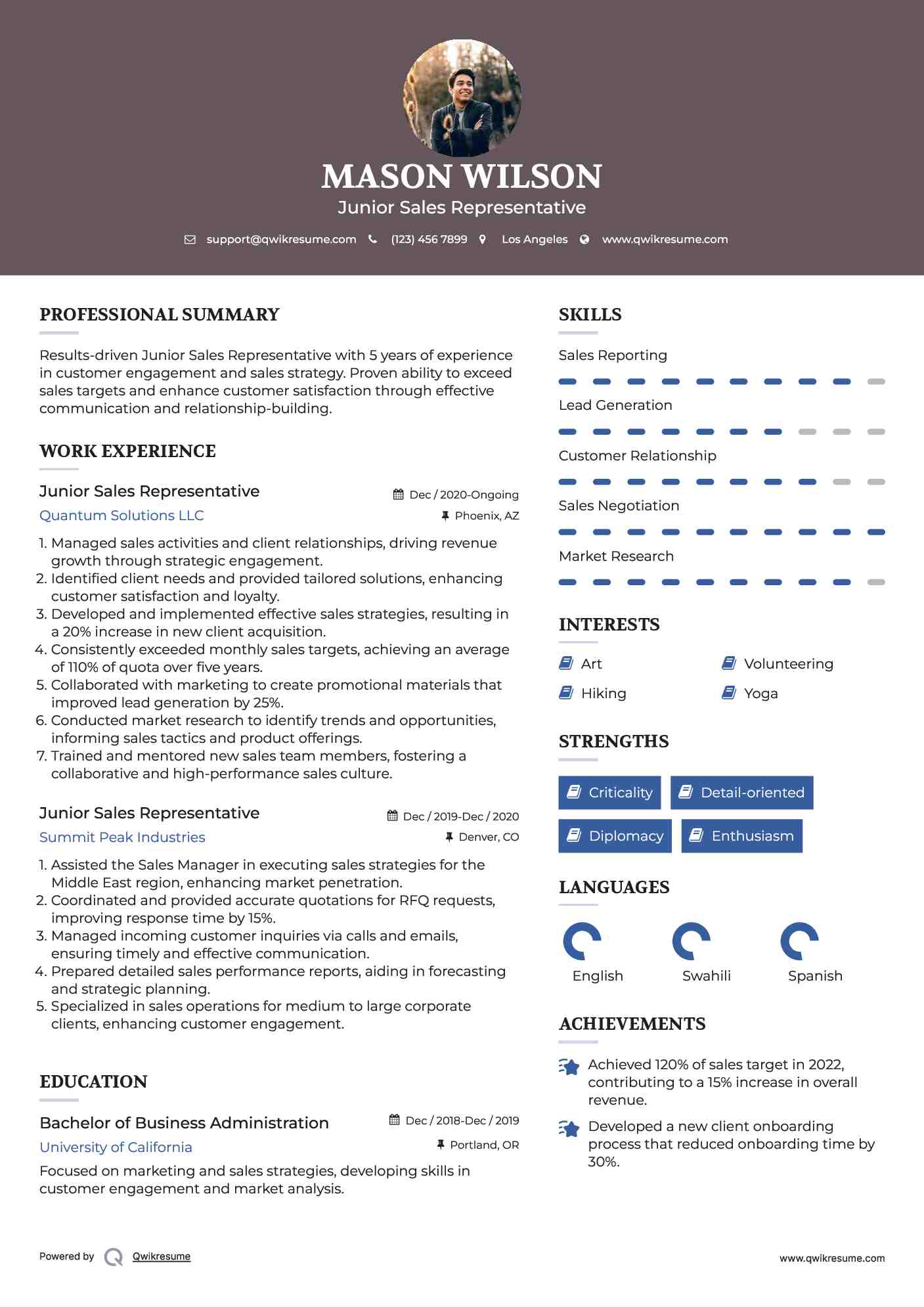 Junior Sales Representative Resume Example