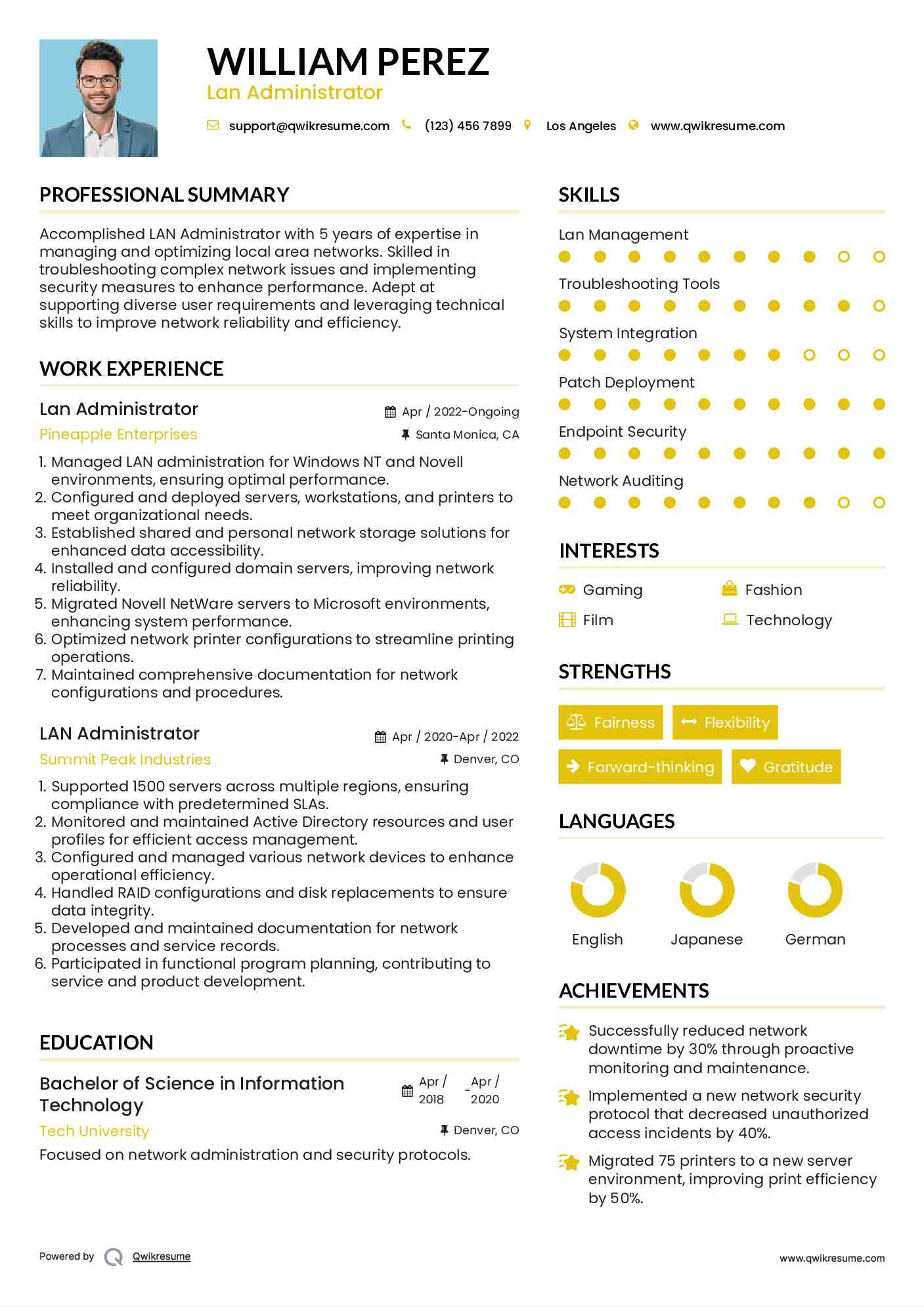 Lan Administrator Resume Template