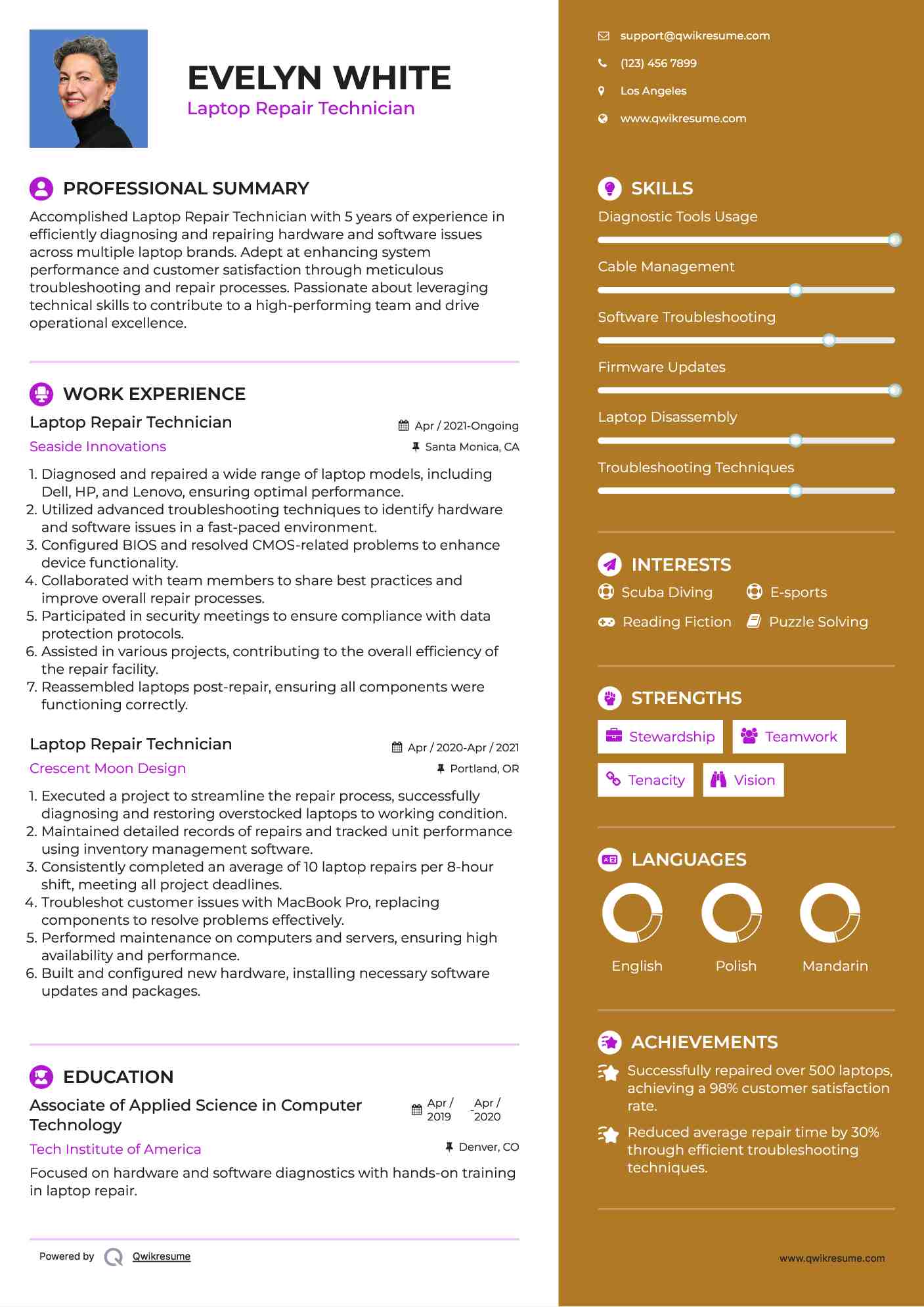 Laptop Repair Technician Resume Example