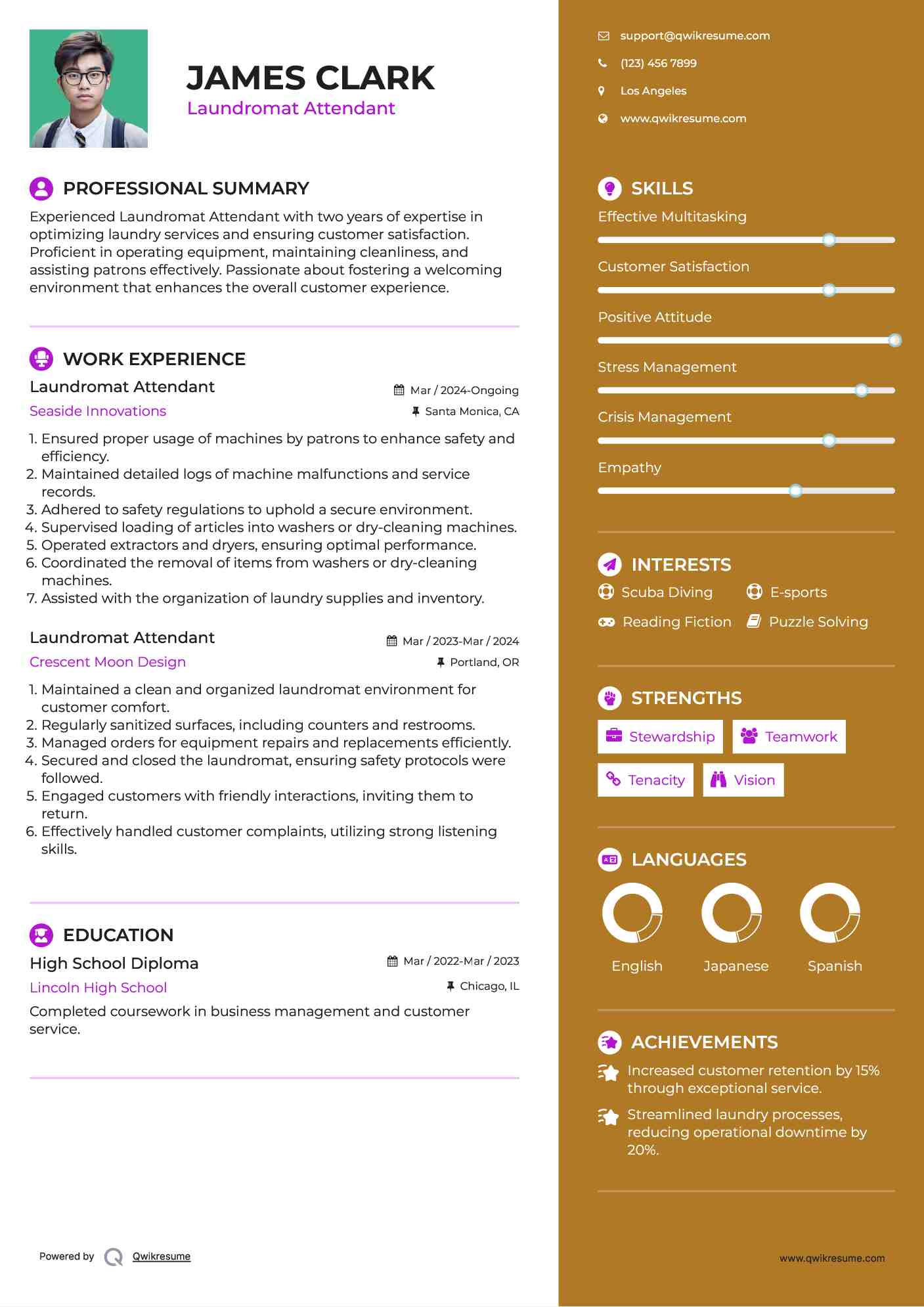 Laundromat Attendant Resume Example