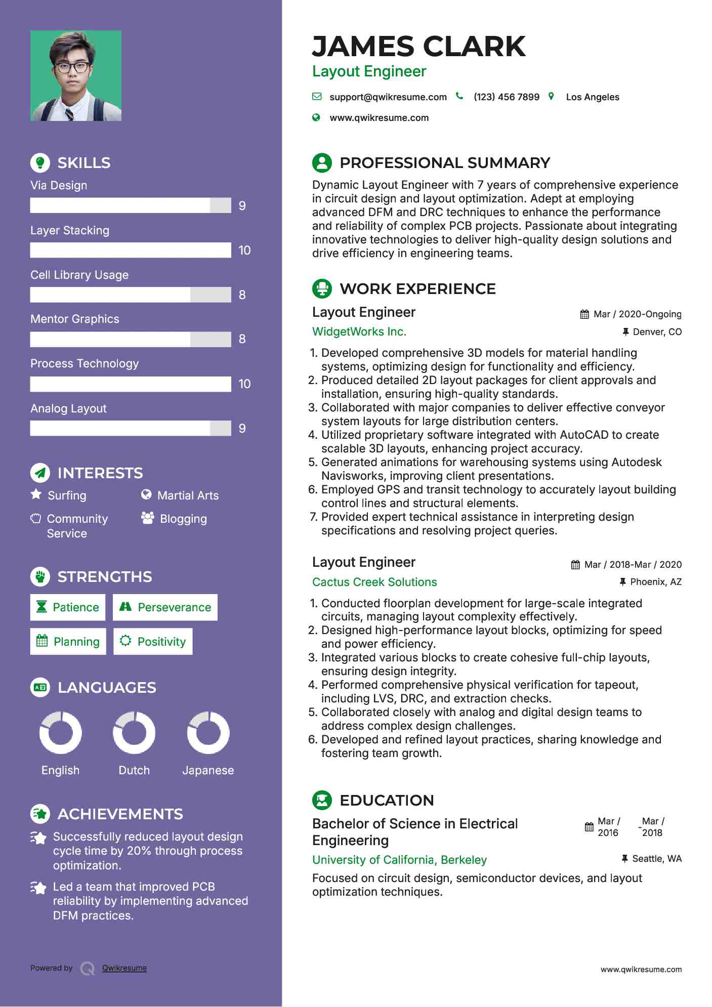 Layout Engineer Resume Sample