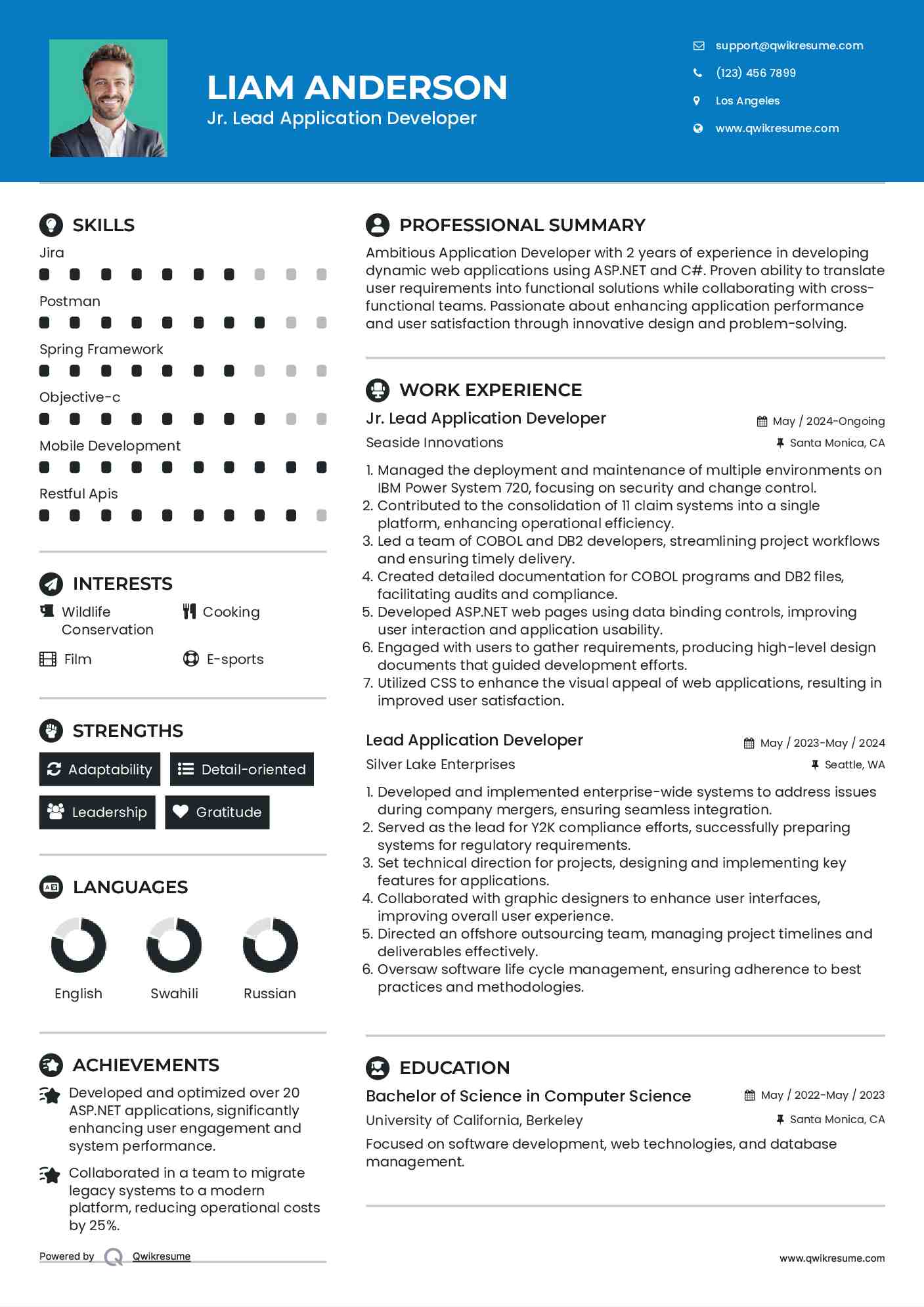 Jr. Lead Application Developer Resume Format