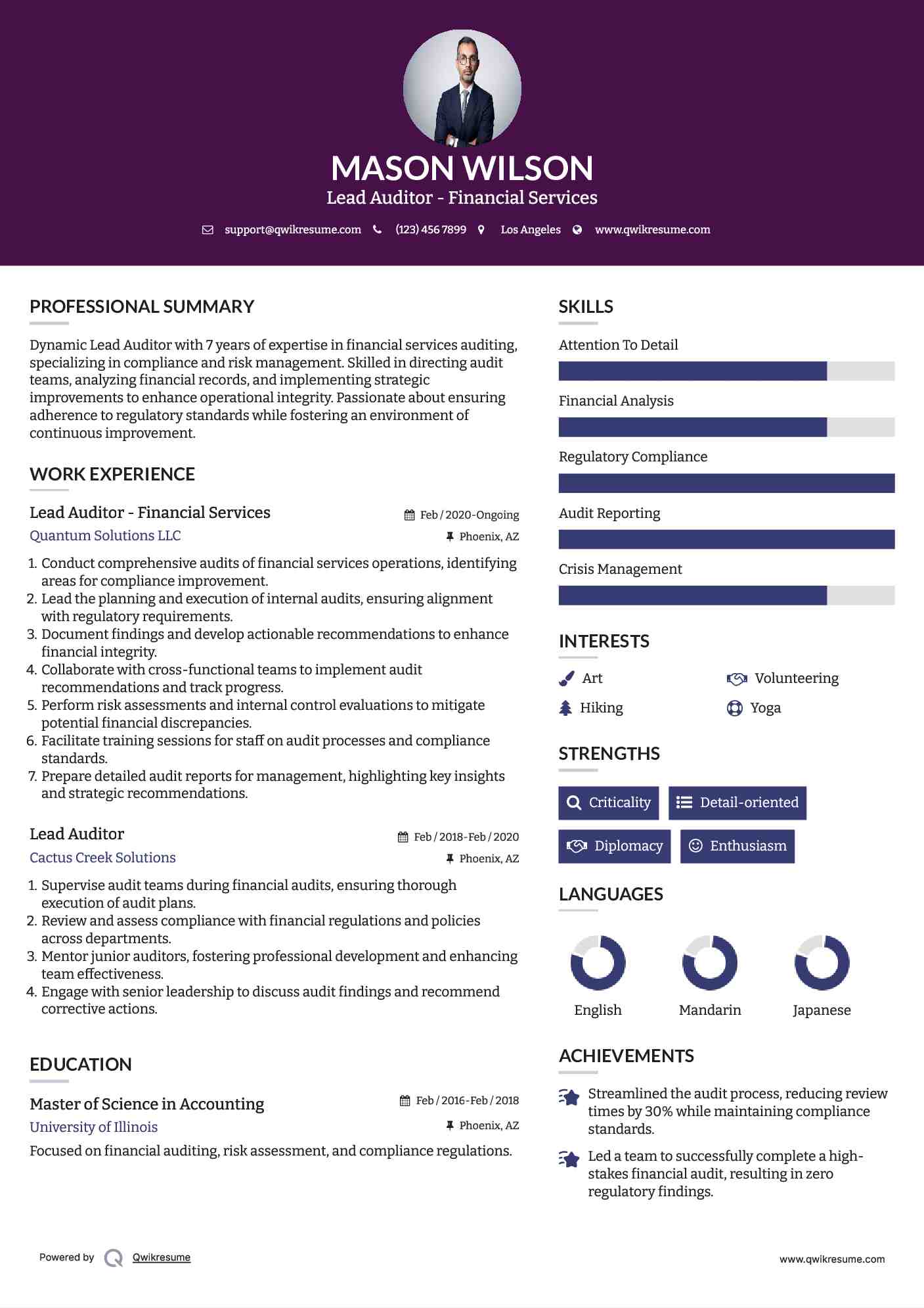 Lead Auditor - Financial Services Resume Sample