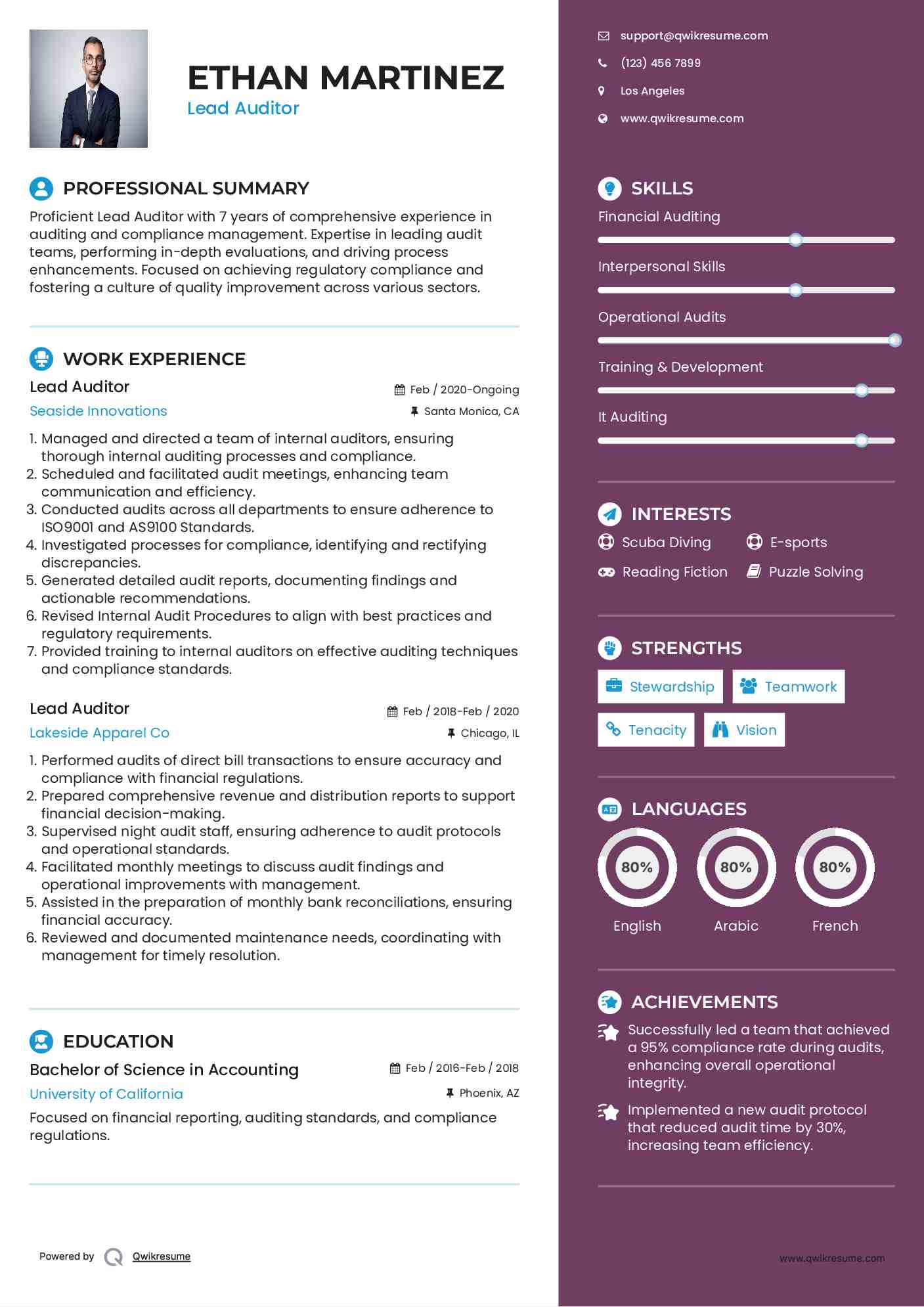 Lead Auditor Resume Template