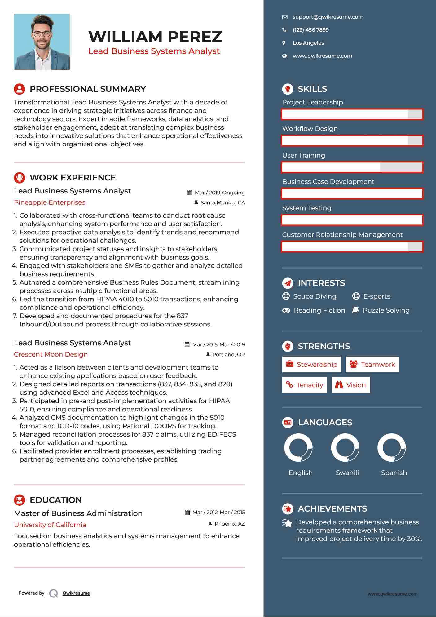 Lead Business Systems Analyst Resume Template