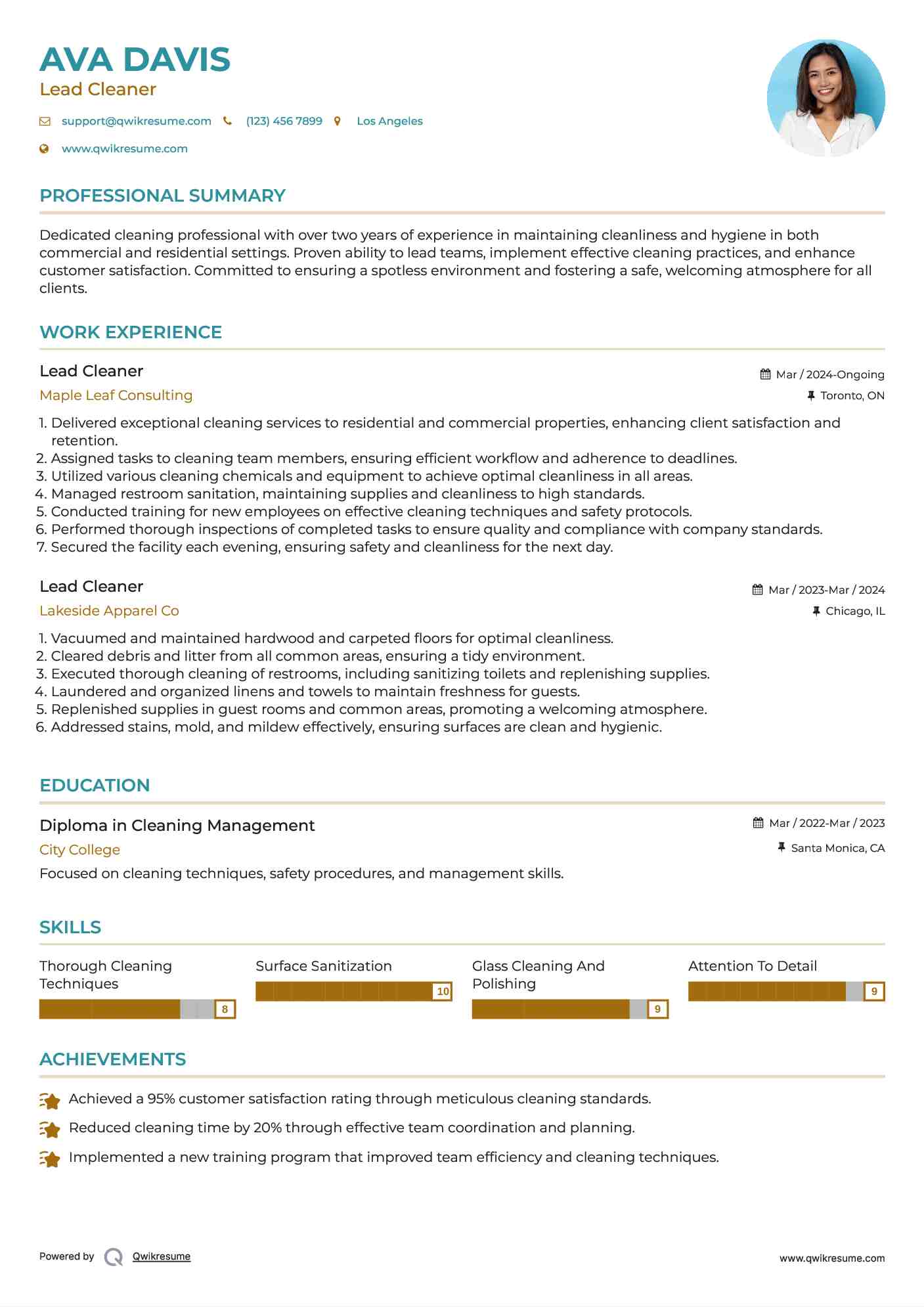 Lead Cleaner Resume Example