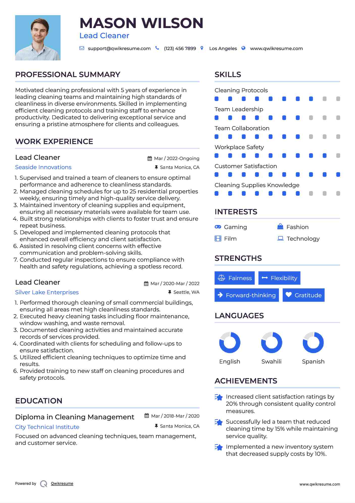 Lead Cleaner Resume Example