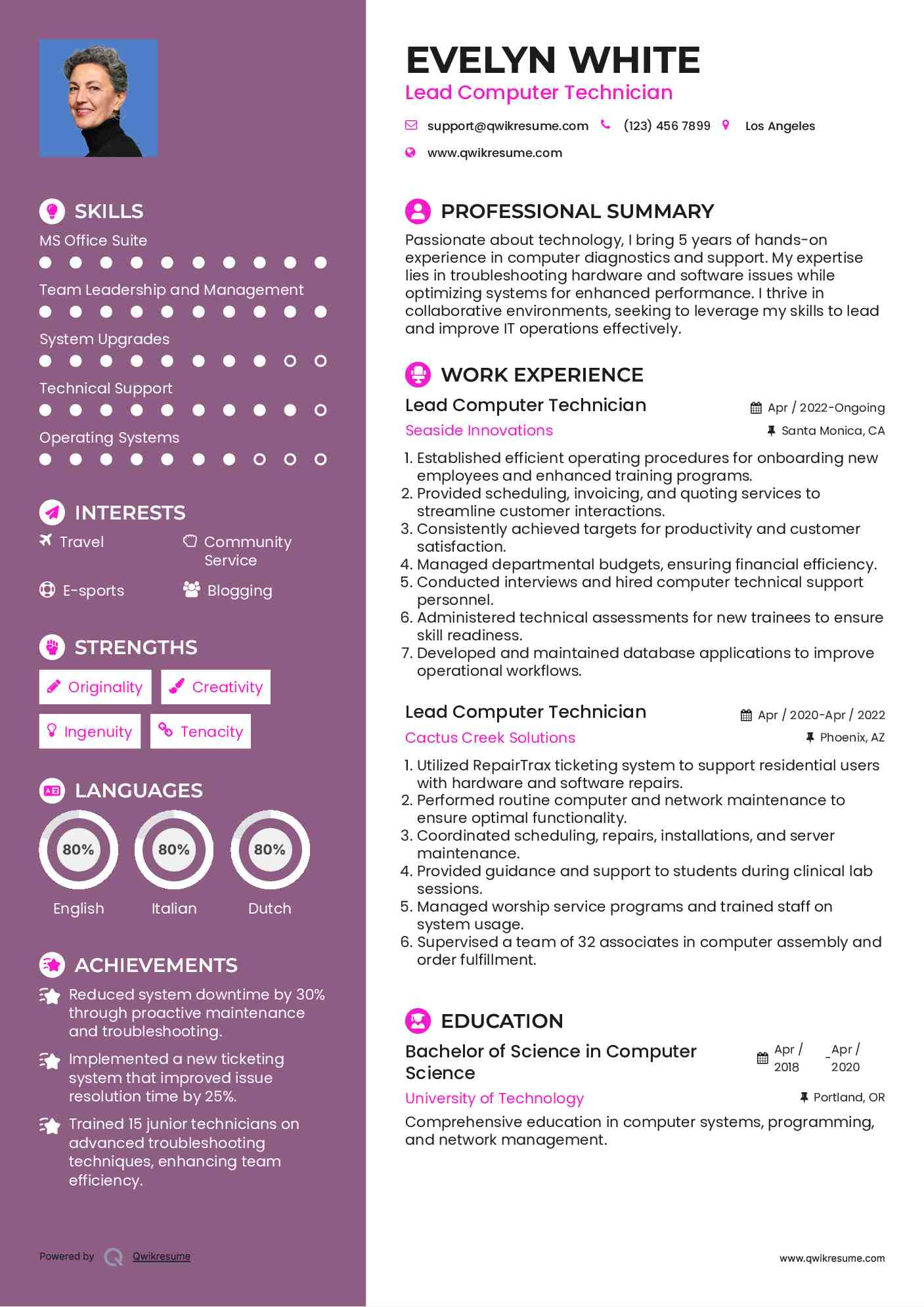 Lead Computer Technician Resume Model
