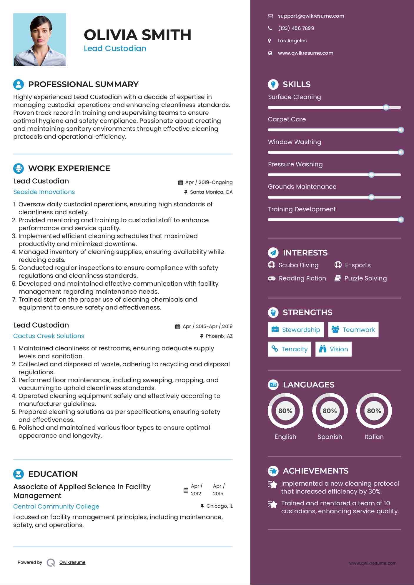 Lead Custodian Resume Format