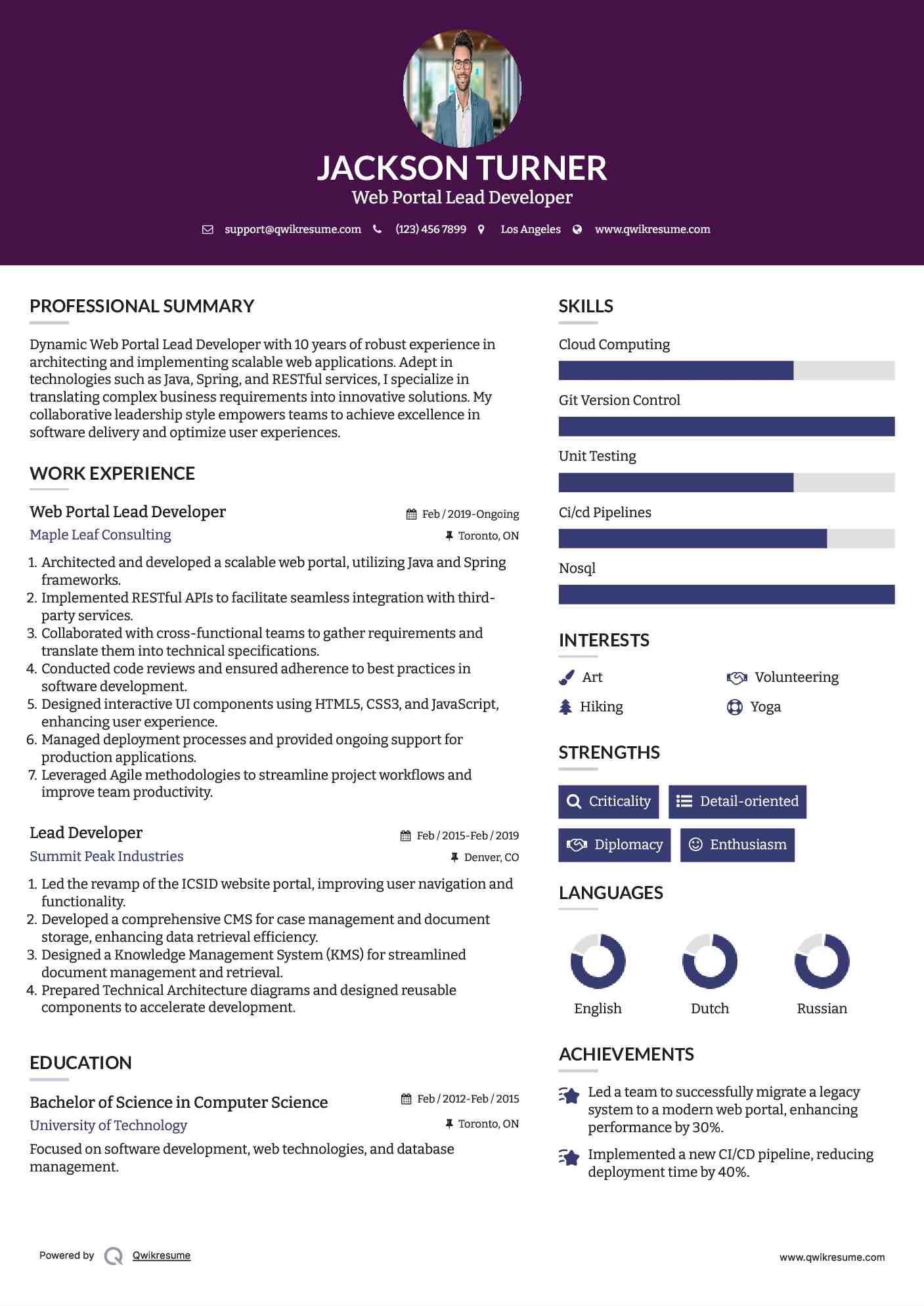 Web Portal Lead Developer Resume Example