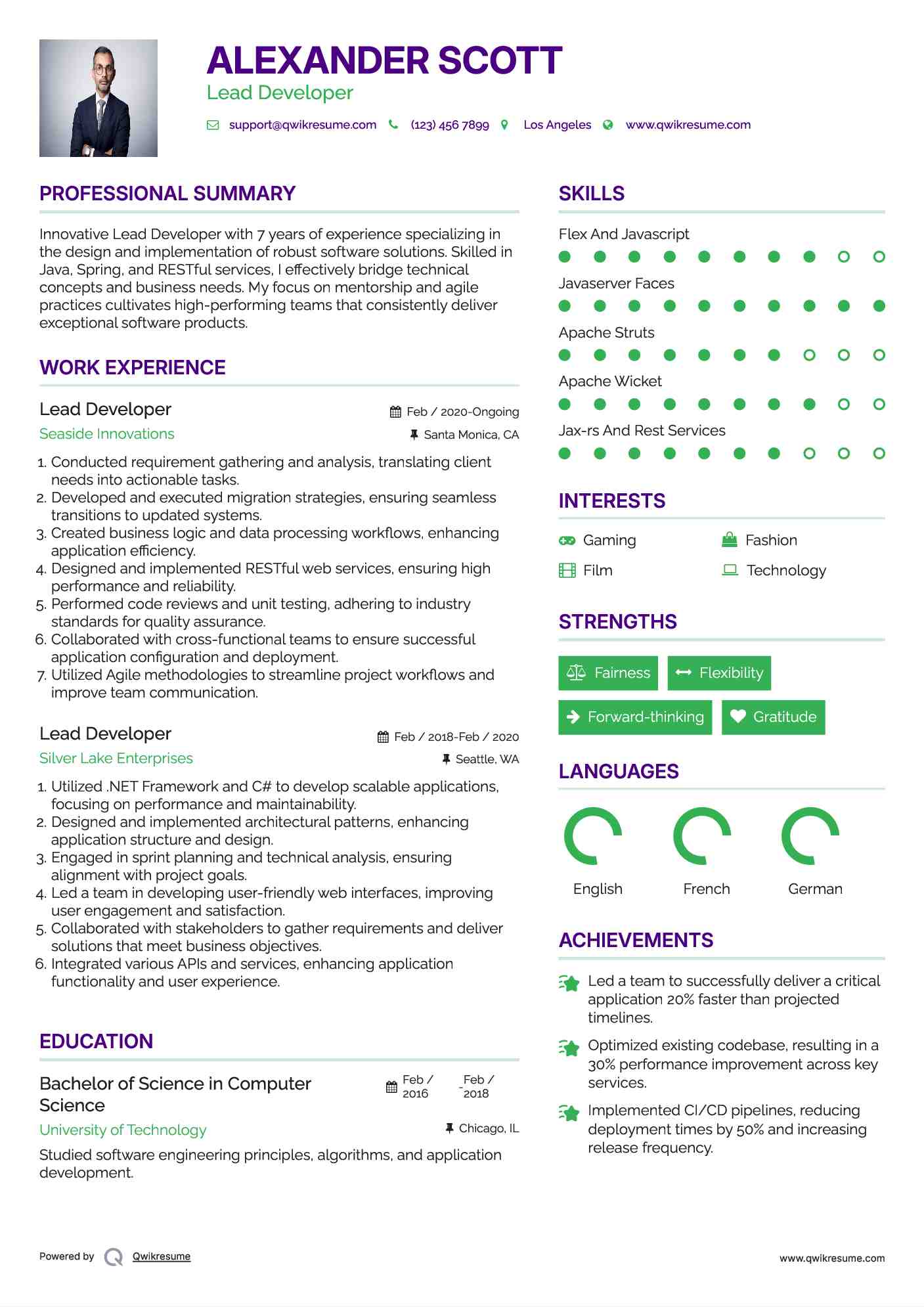 Lead Developer Resume Sample