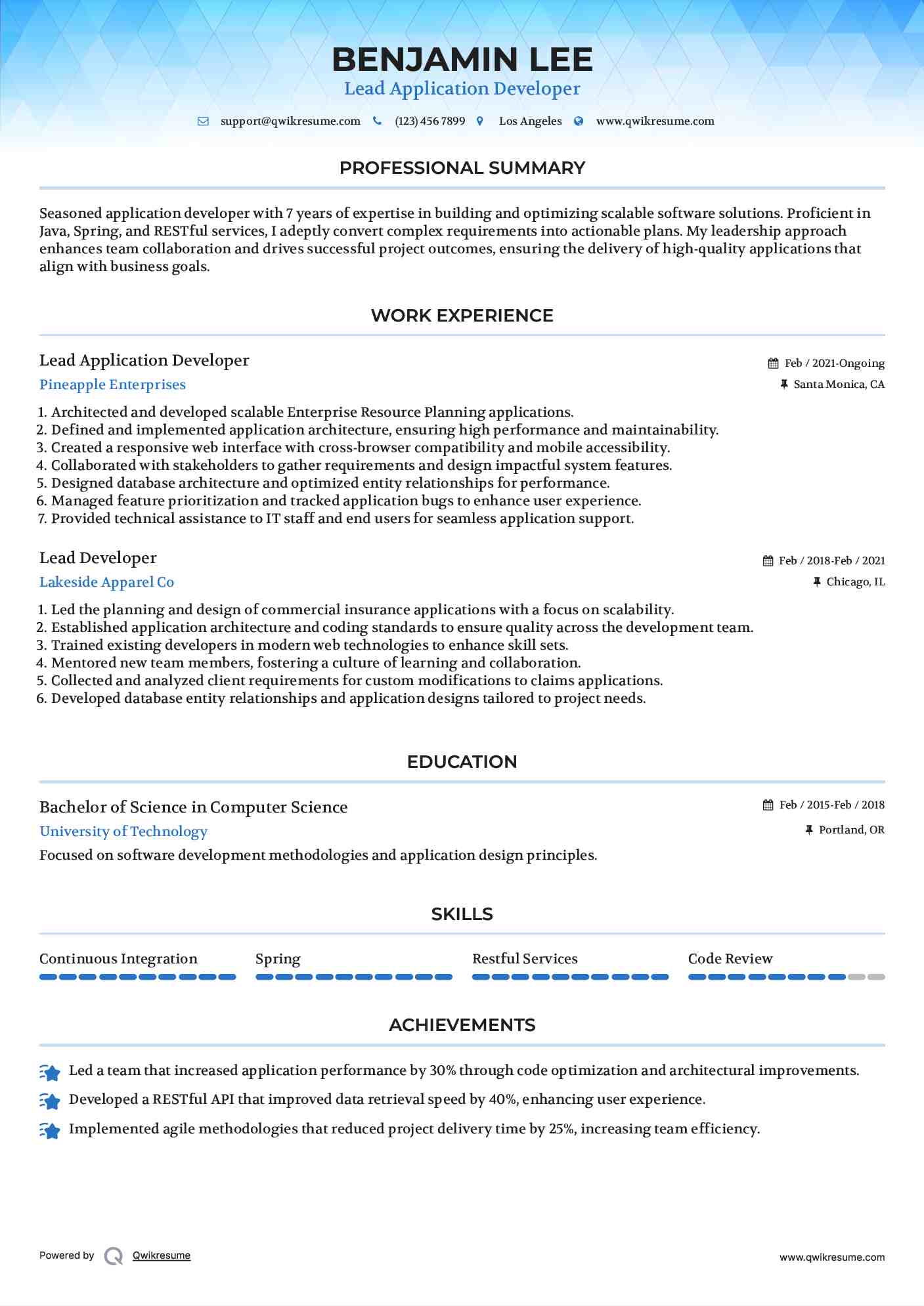 Lead Application Developer Resume Model