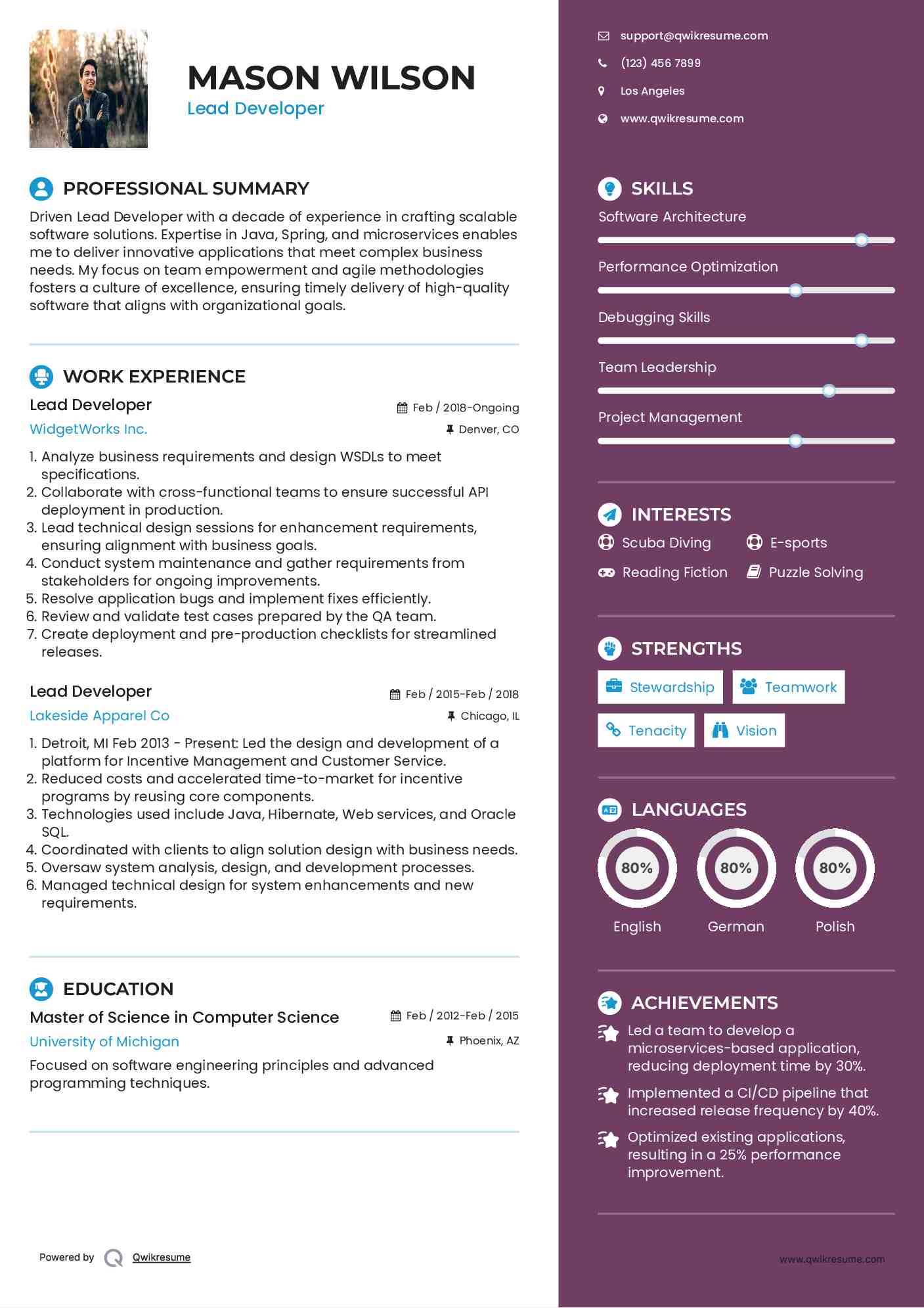 Lead Developer Resume Format