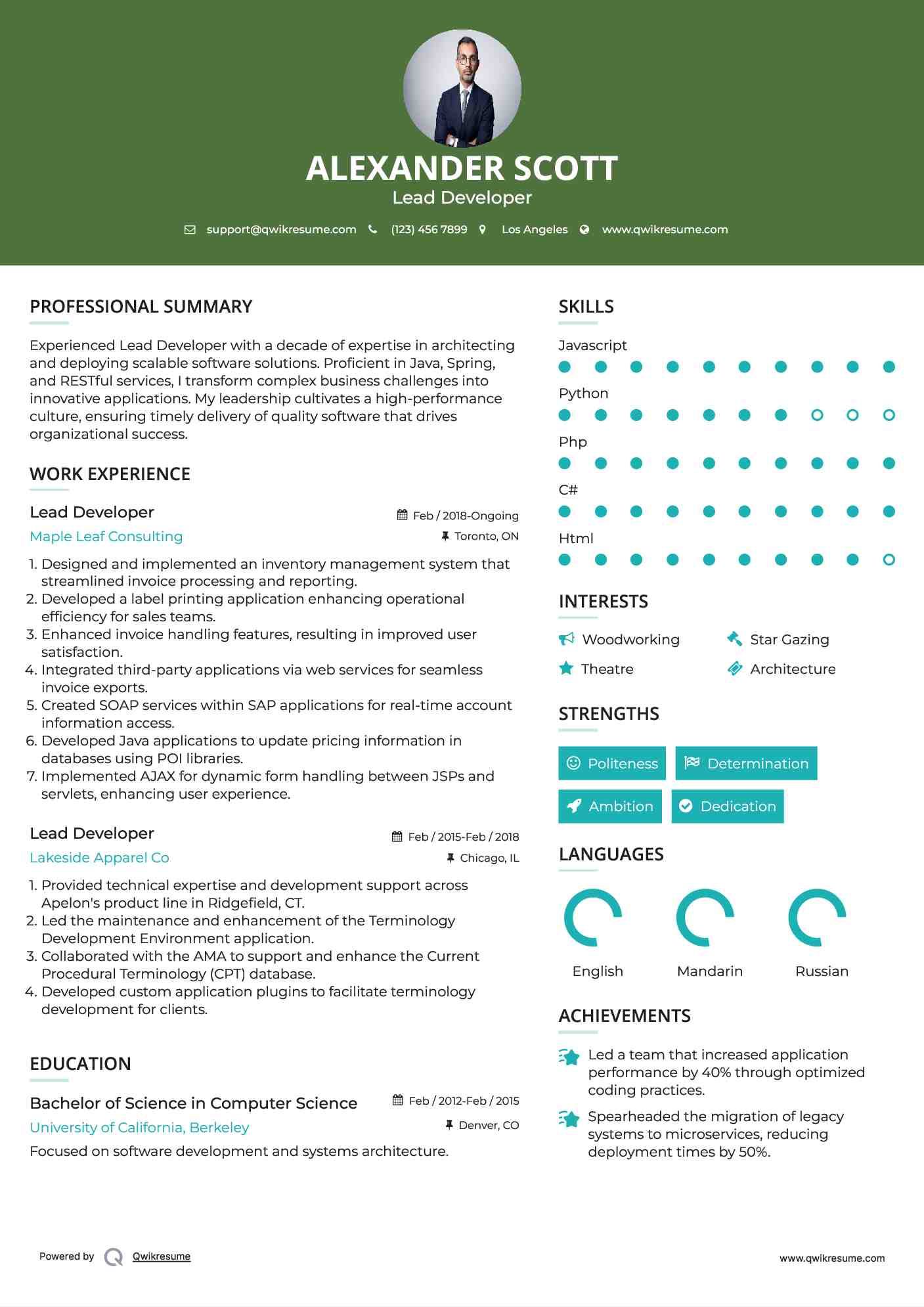 Lead Developer Resume Example