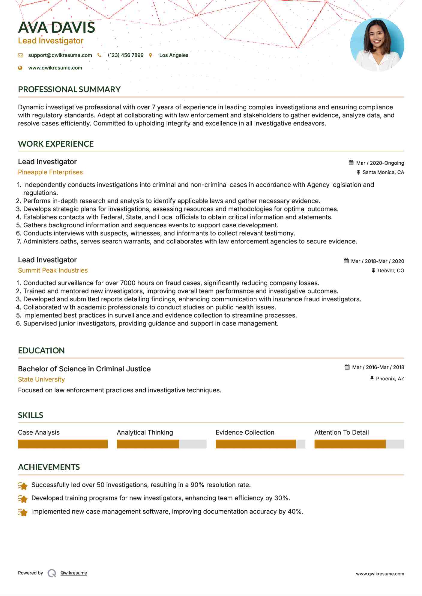Lead Investigator Resume Model