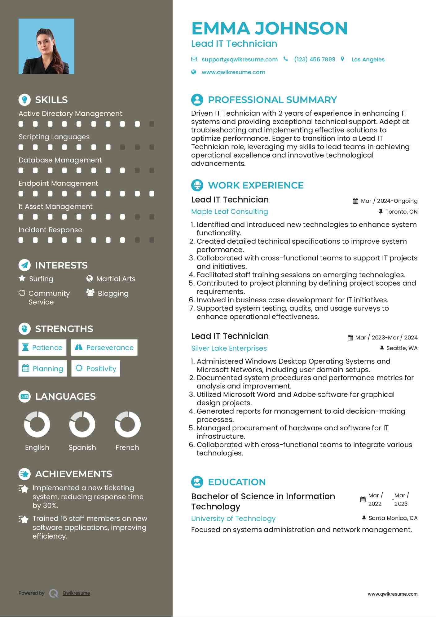 Lead IT Technician Resume Sample