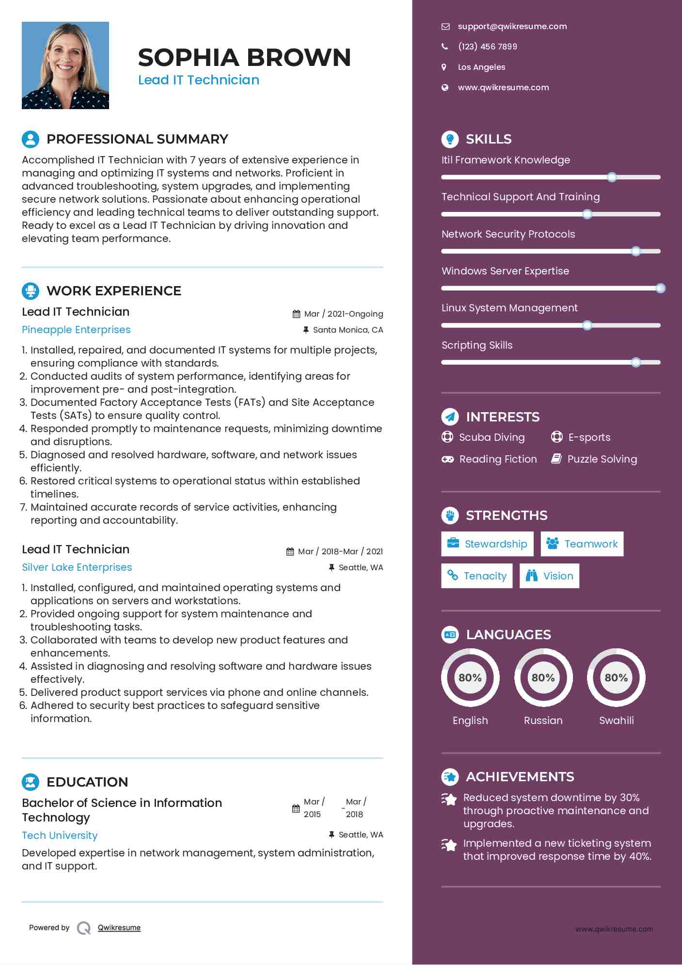 Lead IT Technician Resume Model