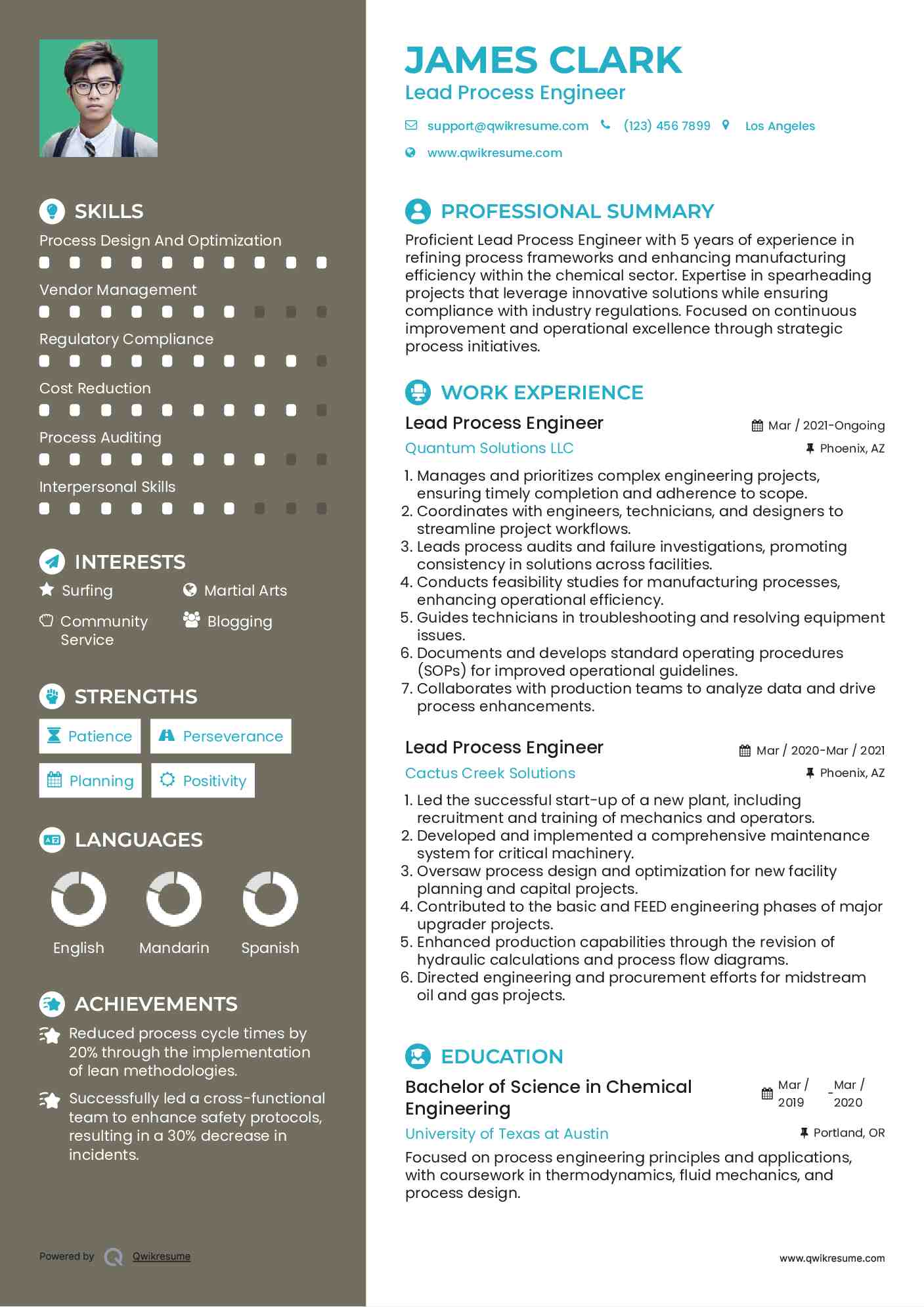 Lead Process Engineer Resume Samples QwikResume