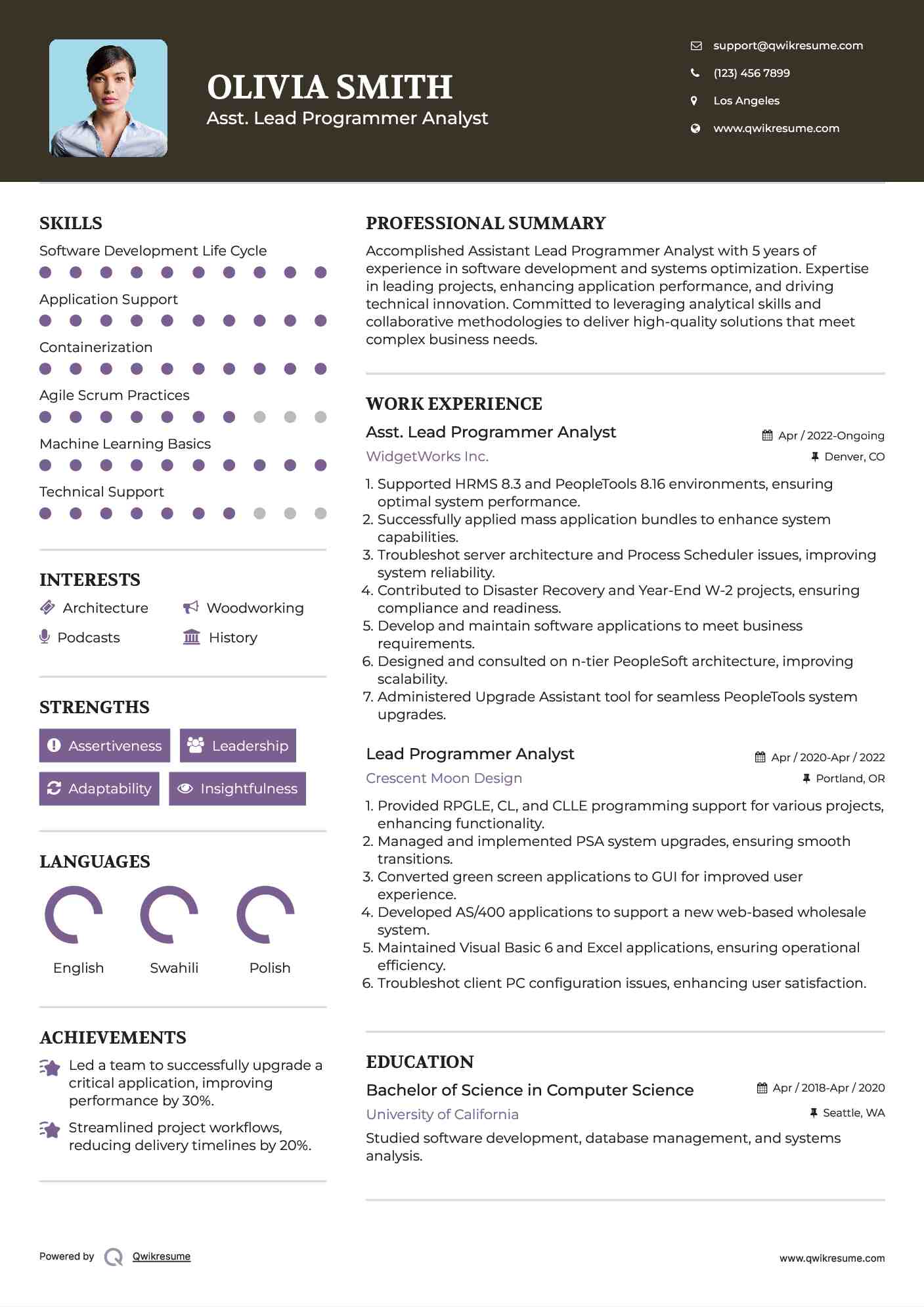 Asst. Lead Programmer Analyst Resume Example