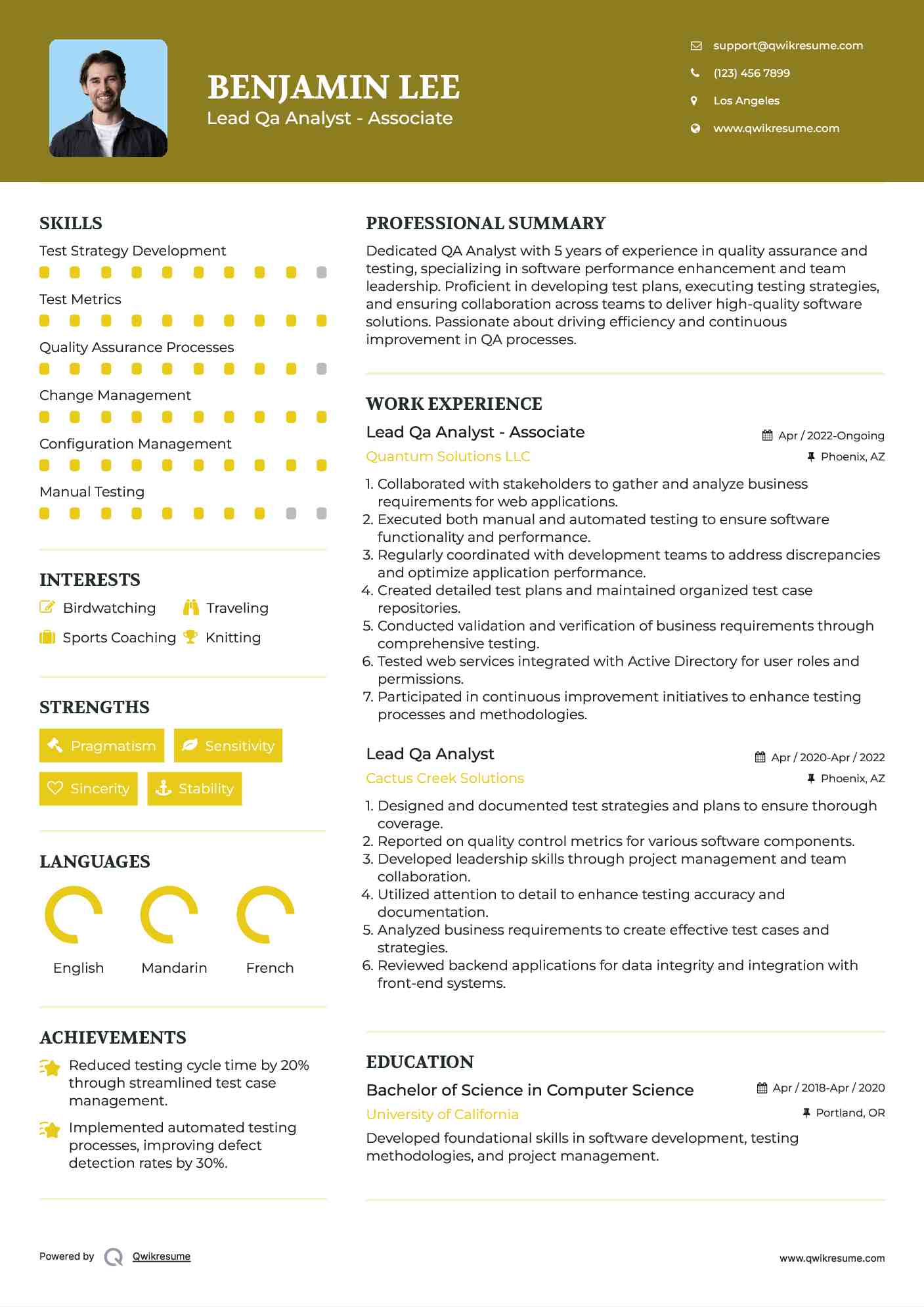 Lead Qa Analyst - Associate Resume Template