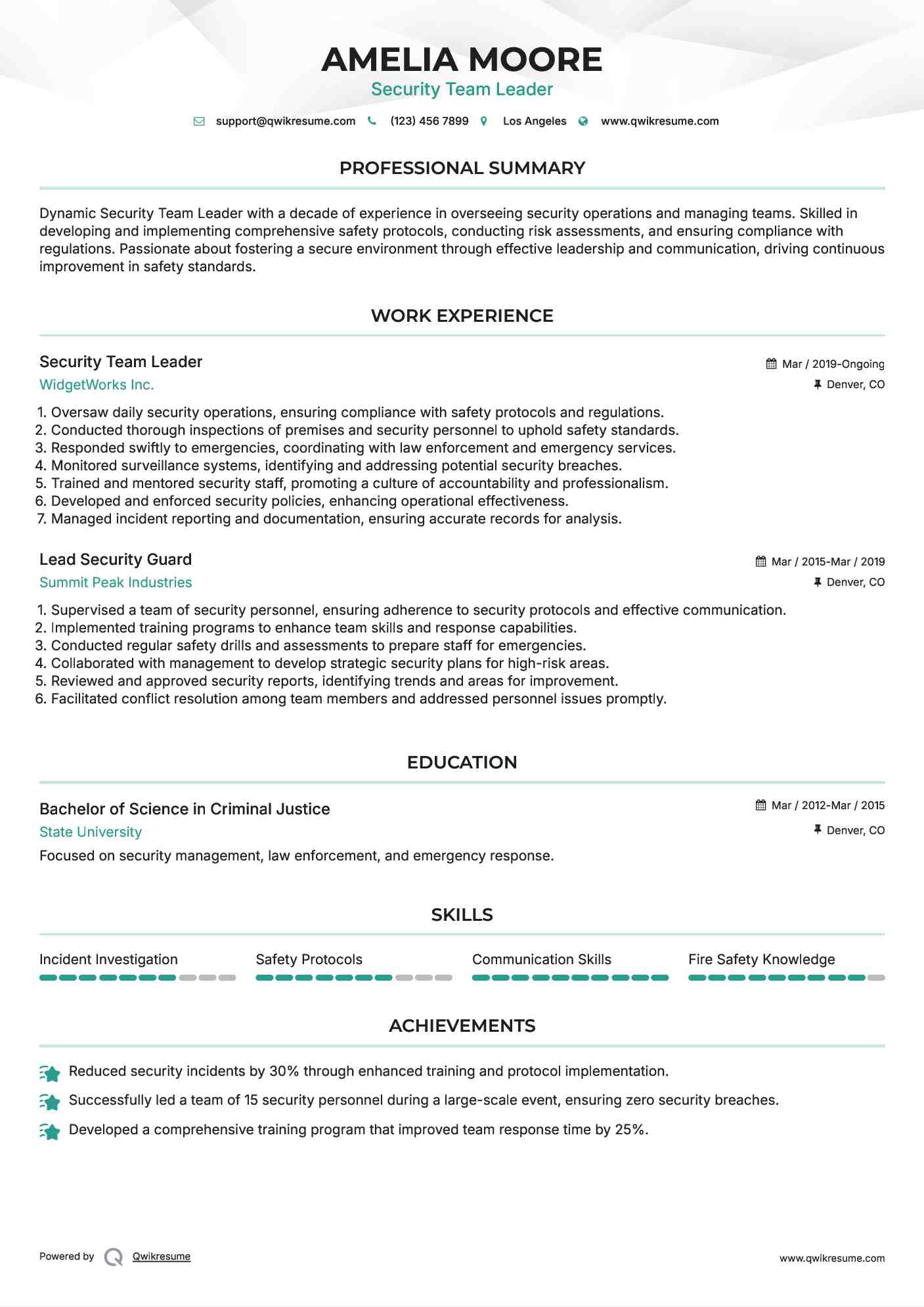 Security Team Leader Resume Model