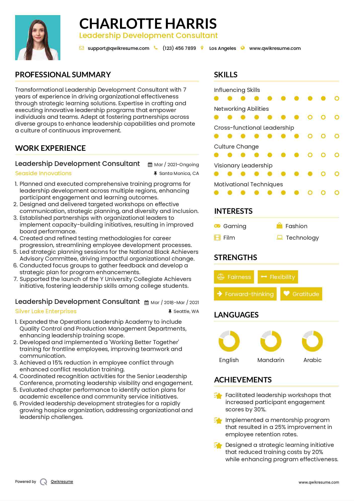 Leadership Development Consultant Resume Sample