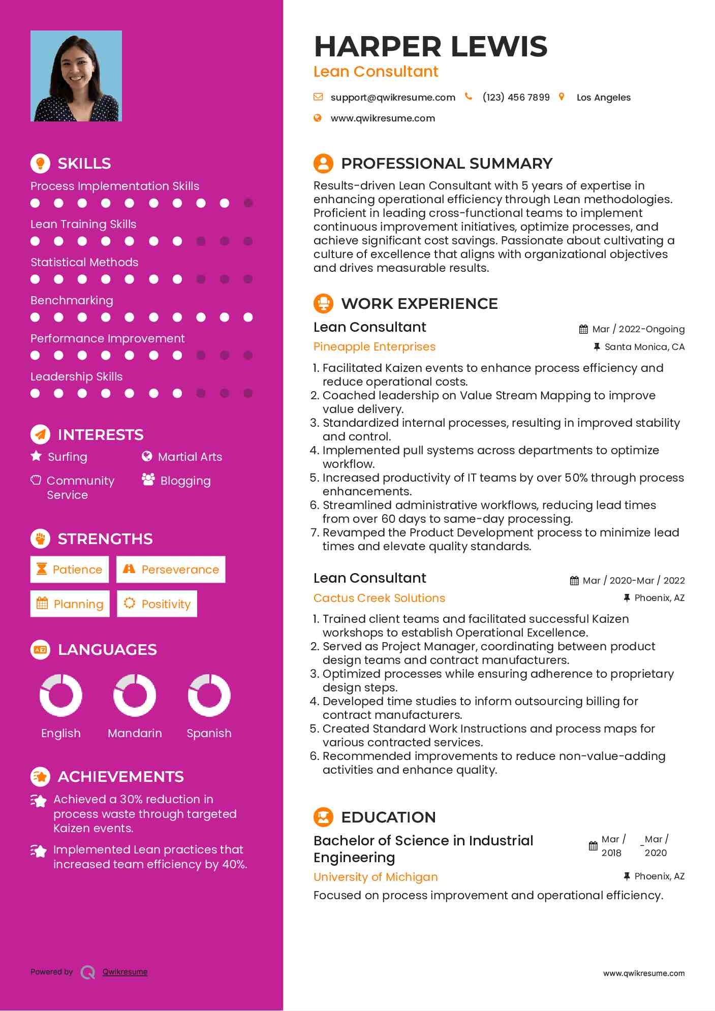 Lean Consultant Resume Model