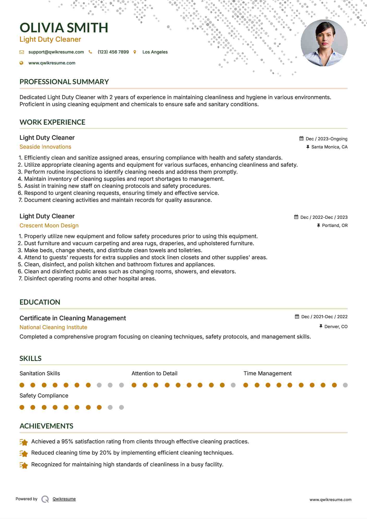 Light Duty Cleaner Resume Model