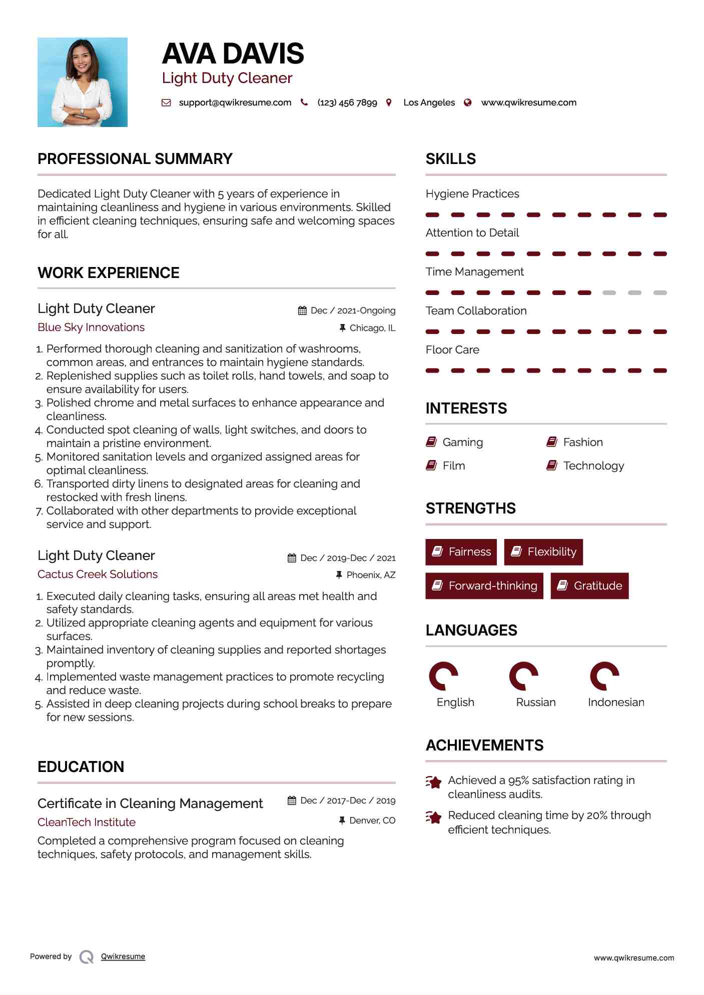 Light Duty Cleaner Resume Template