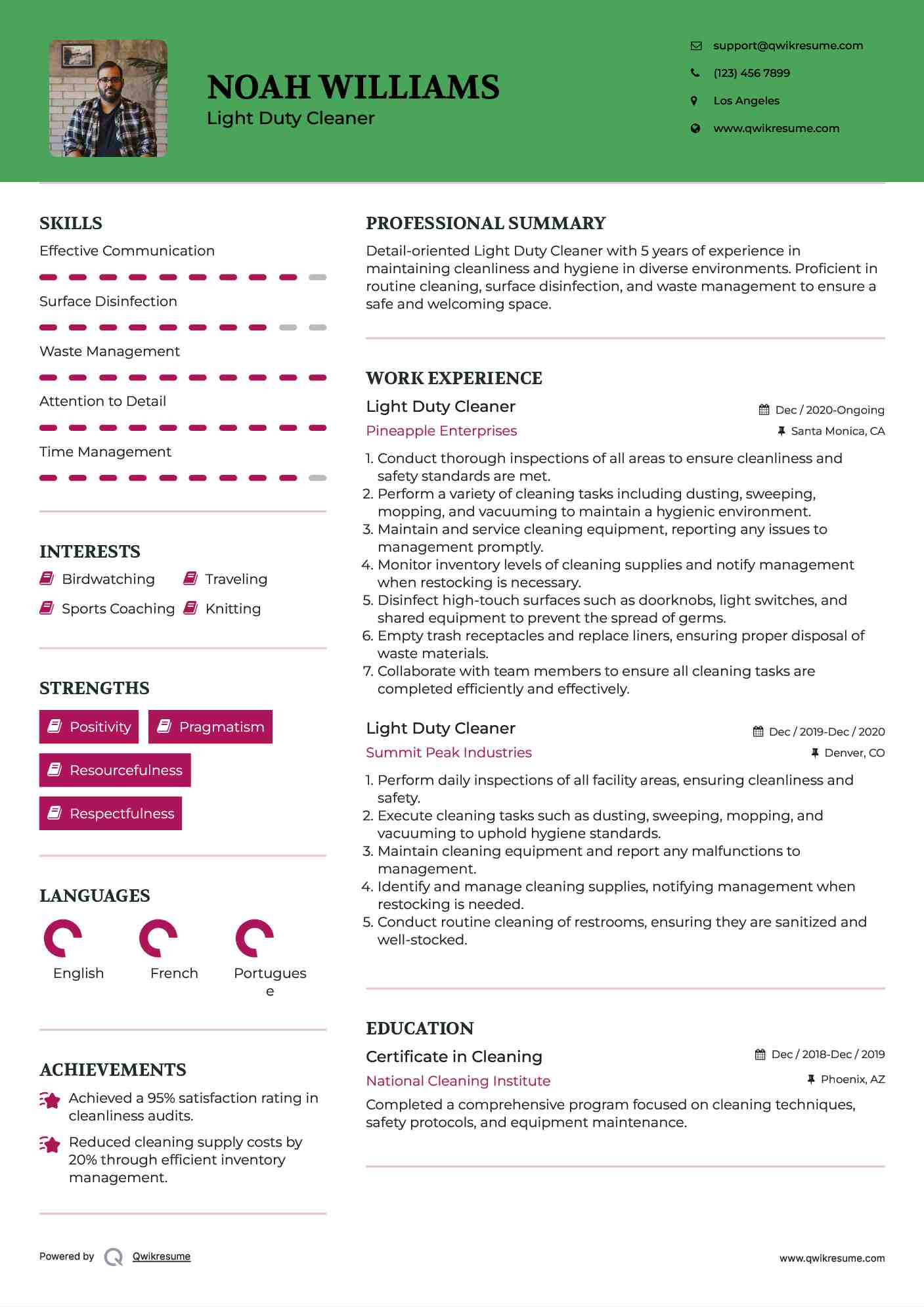 Light Duty Cleaner Resume Example