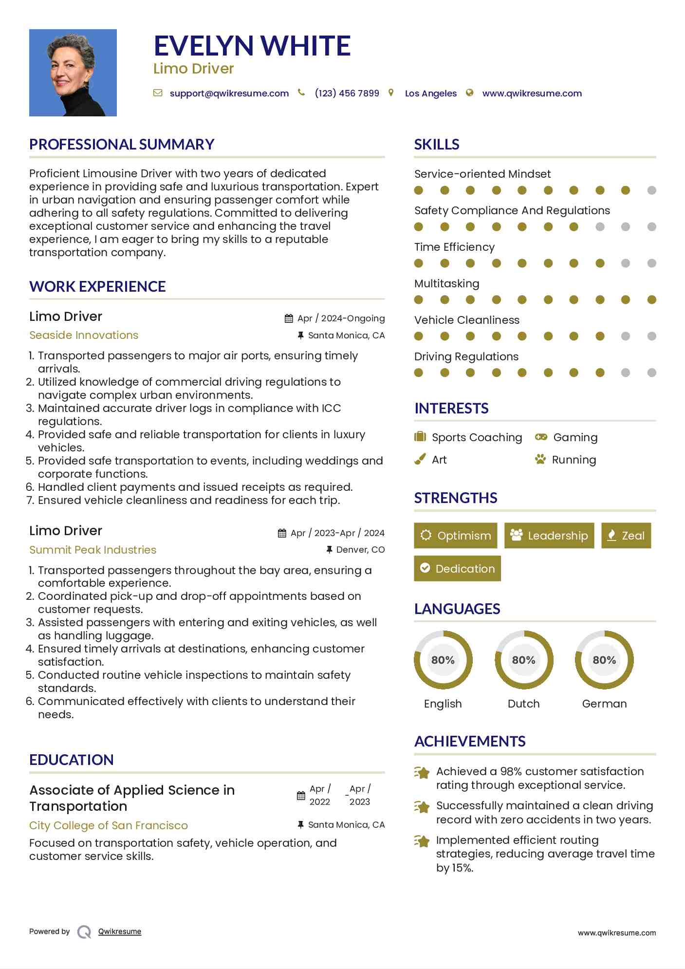 Limo Driver Resume Format