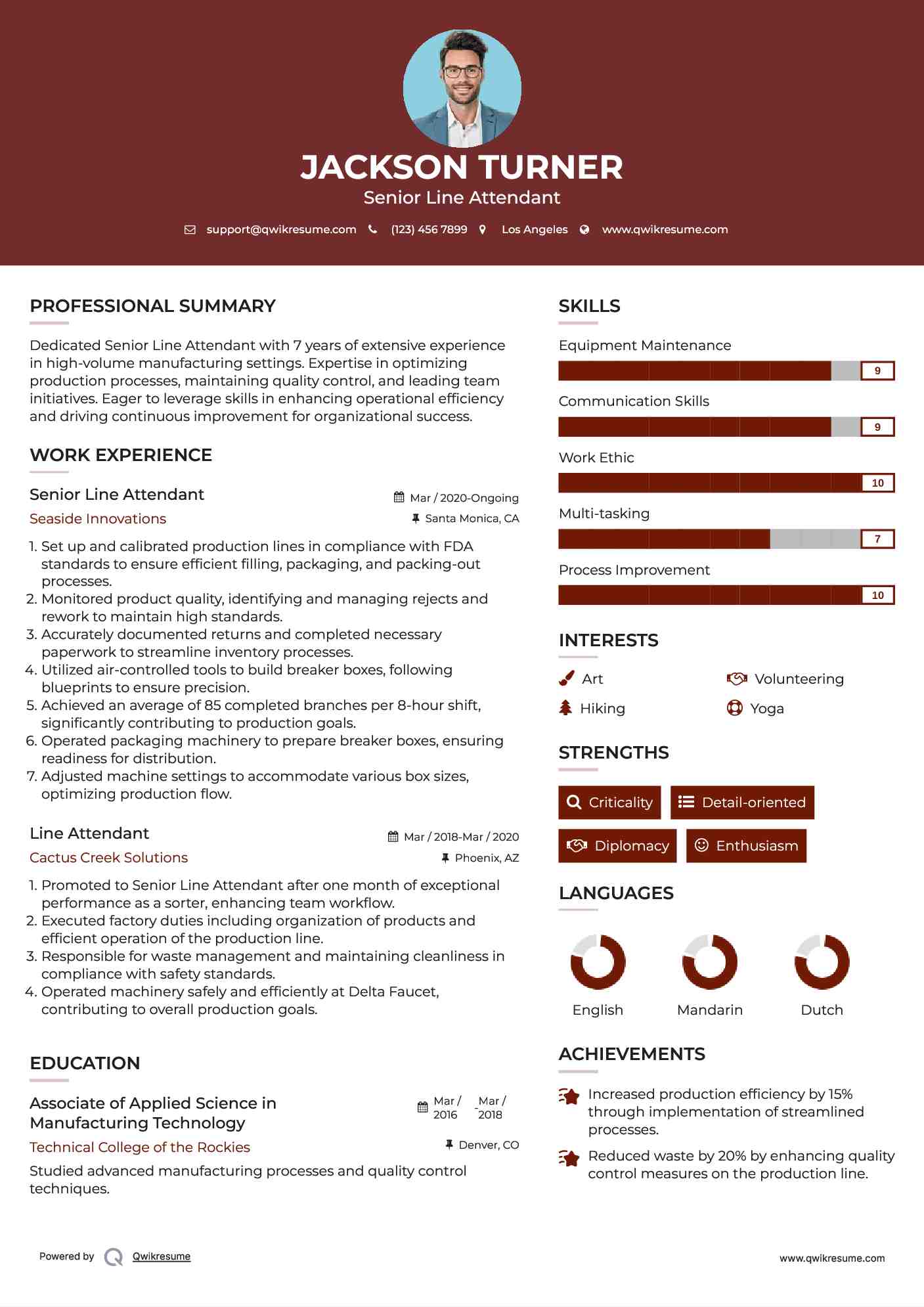 Senior Line Attendant Resume Example
