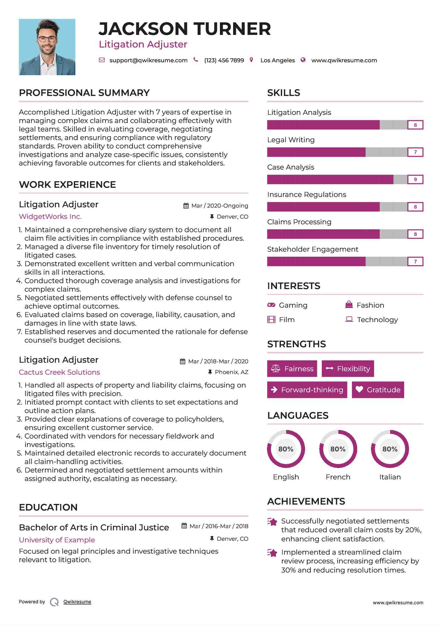 Litigation Adjuster Resume Sample