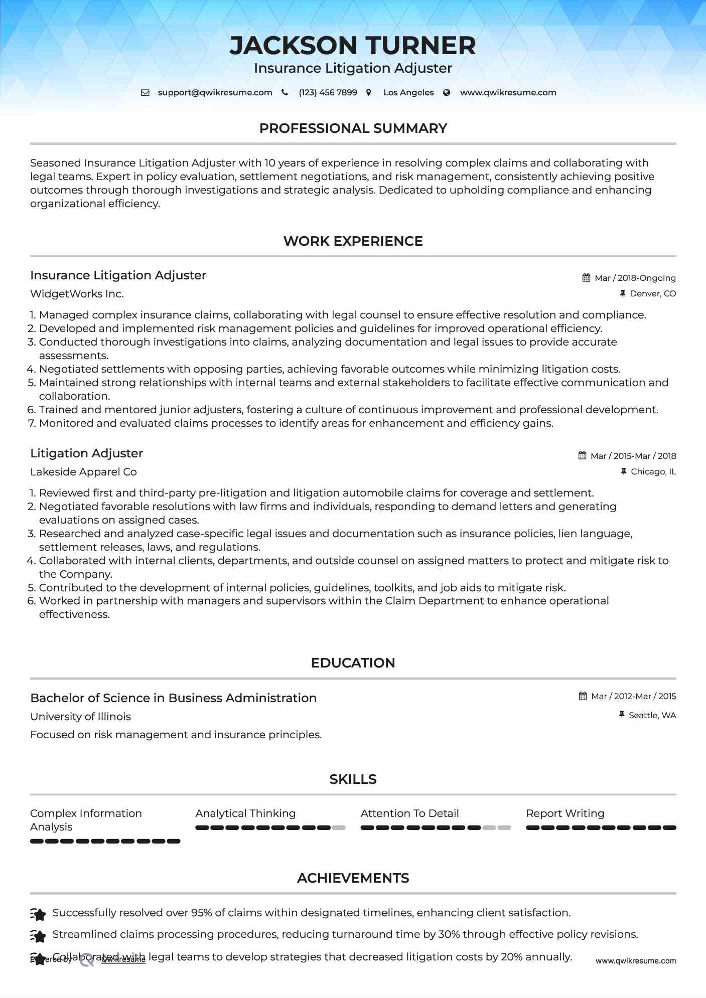 Insurance Litigation Adjuster Resume Format