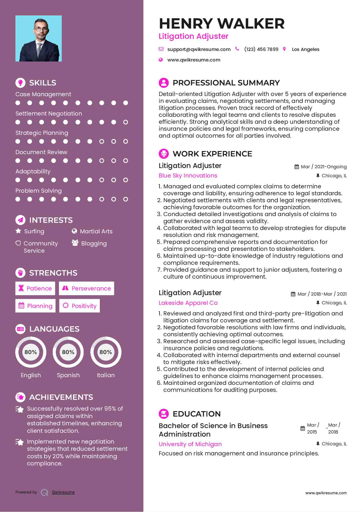 Litigation Adjuster Resume Example