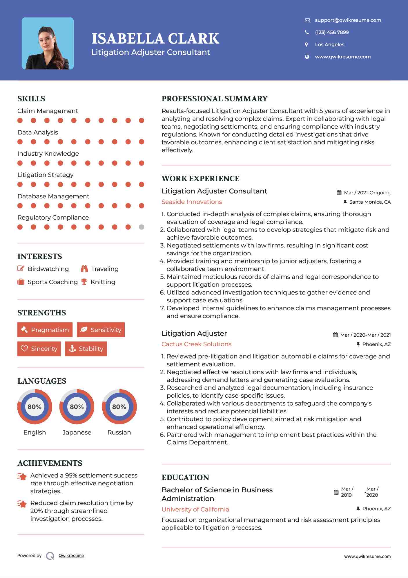 Litigation Adjuster Consultant Resume Example