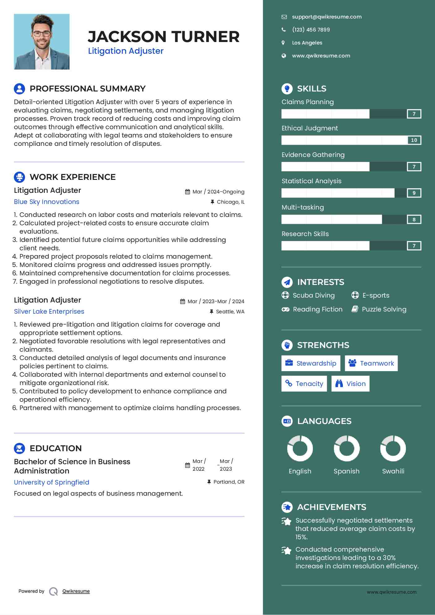 Litigation Adjuster Resume Example