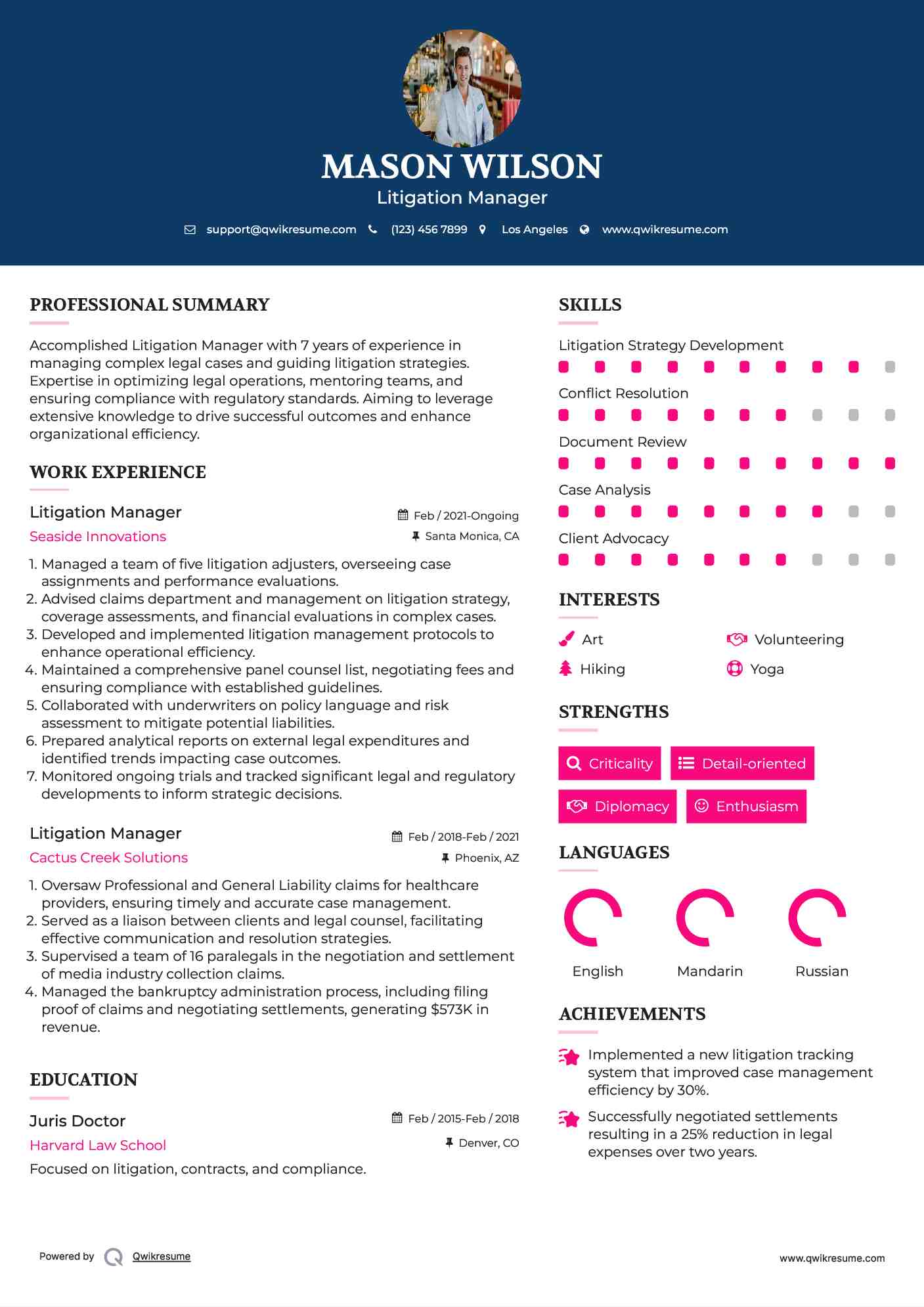 Litigation Manager Resume Model