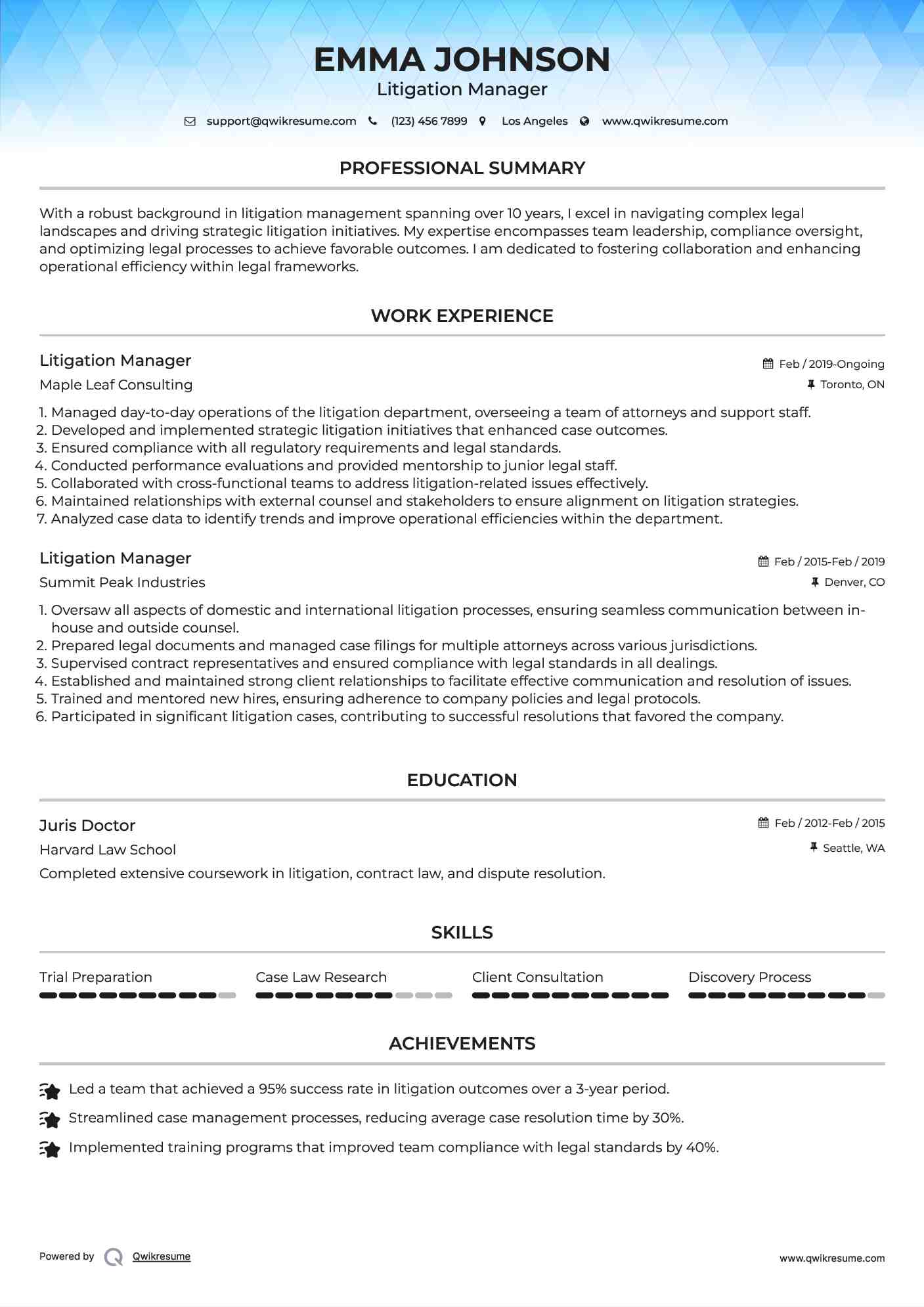 Litigation Manager Resume Template