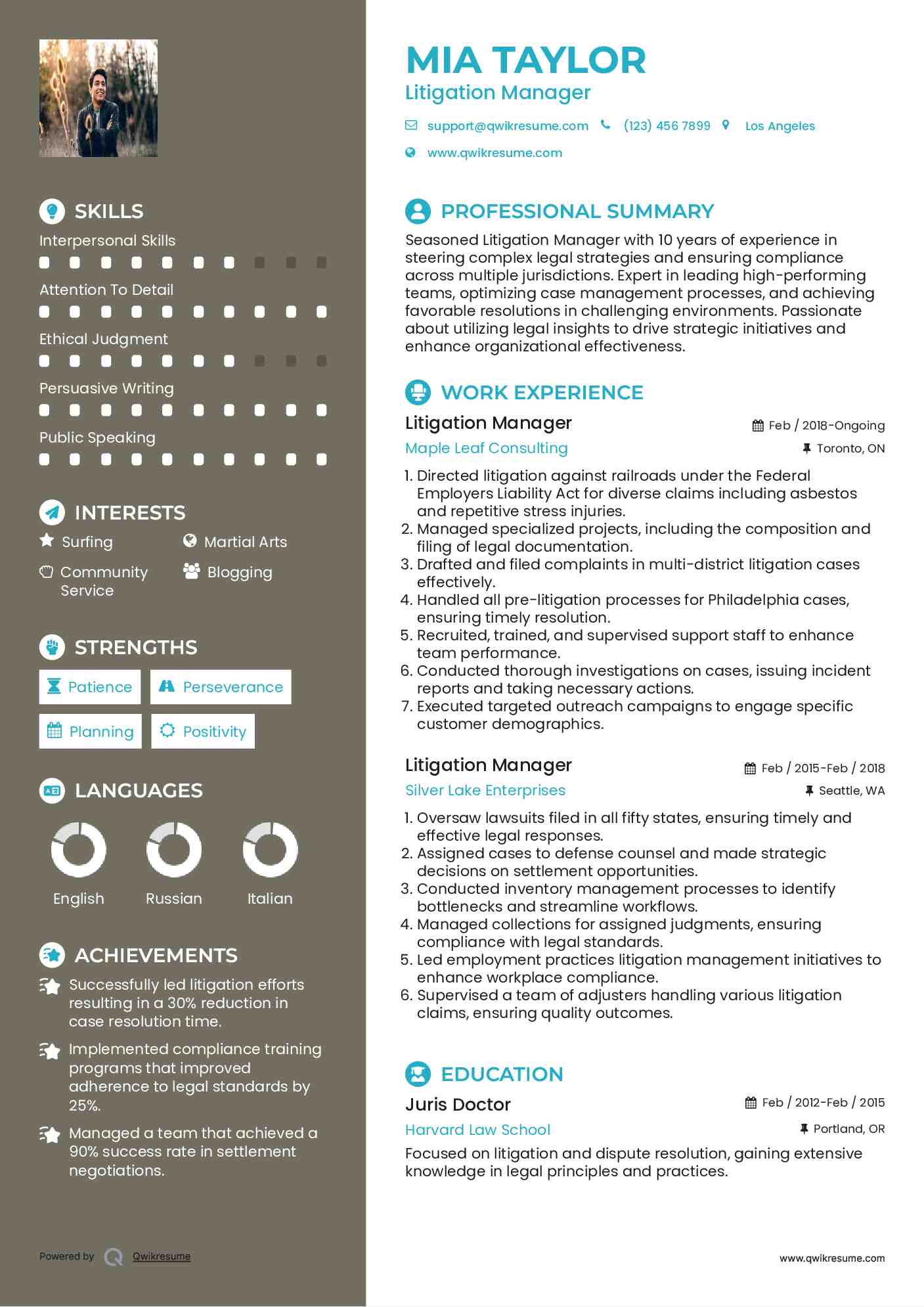 Litigation Manager Resume Template