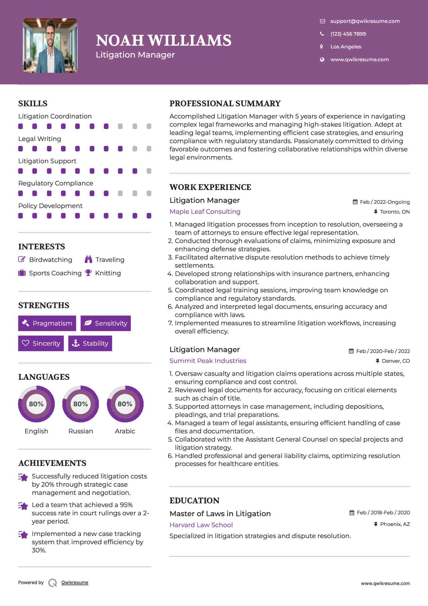 Litigation Manager Resume Example